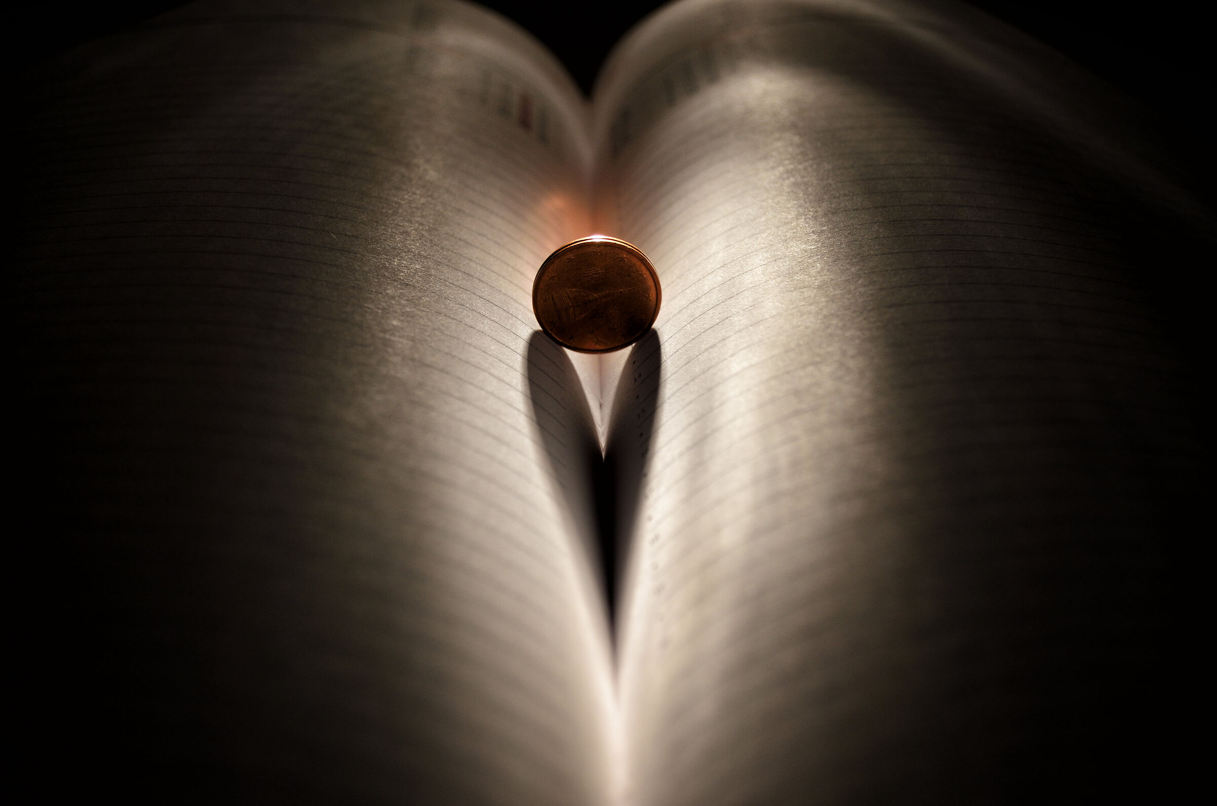 Amore per il denaro...