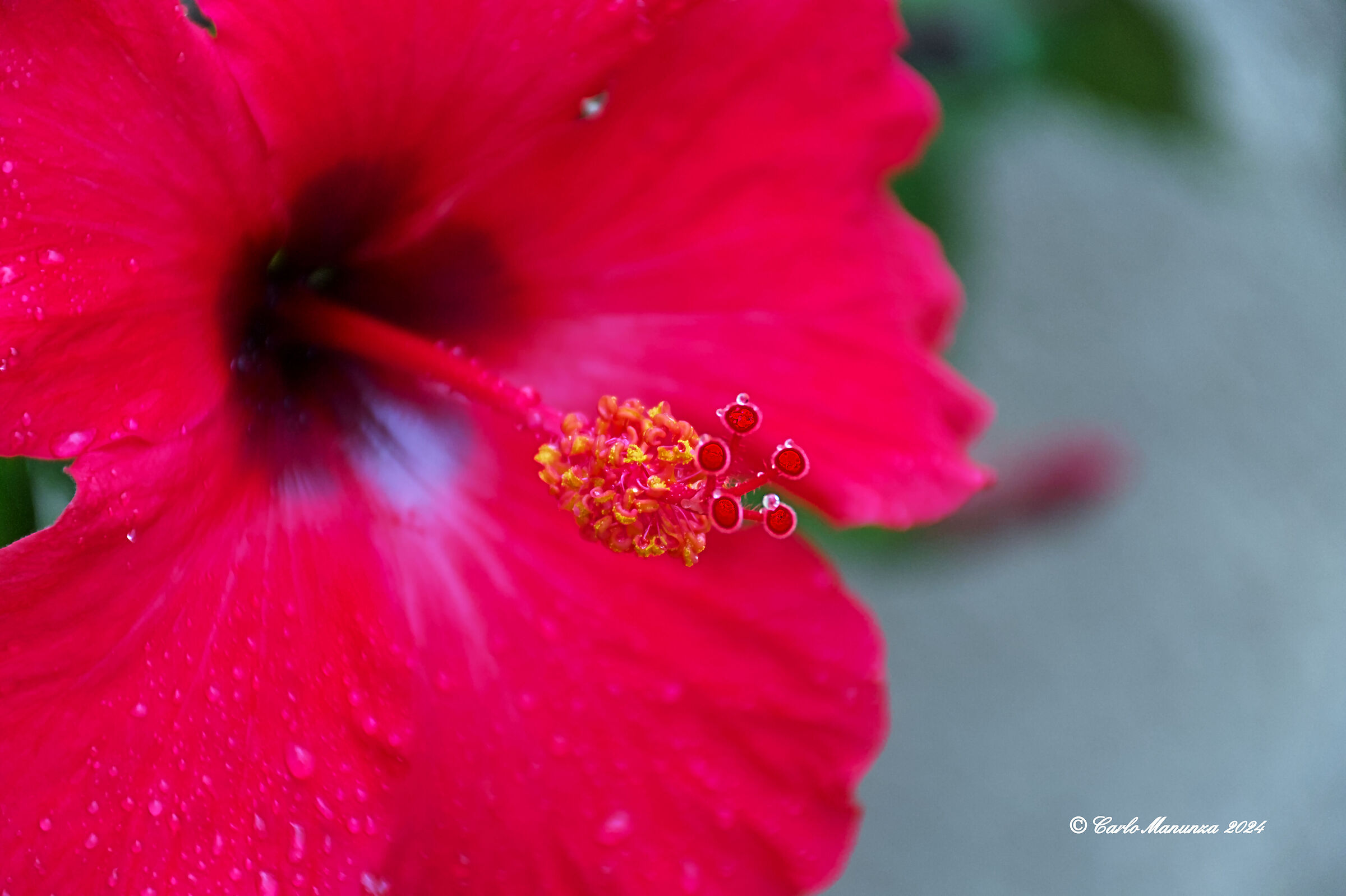 Untitled Photo
