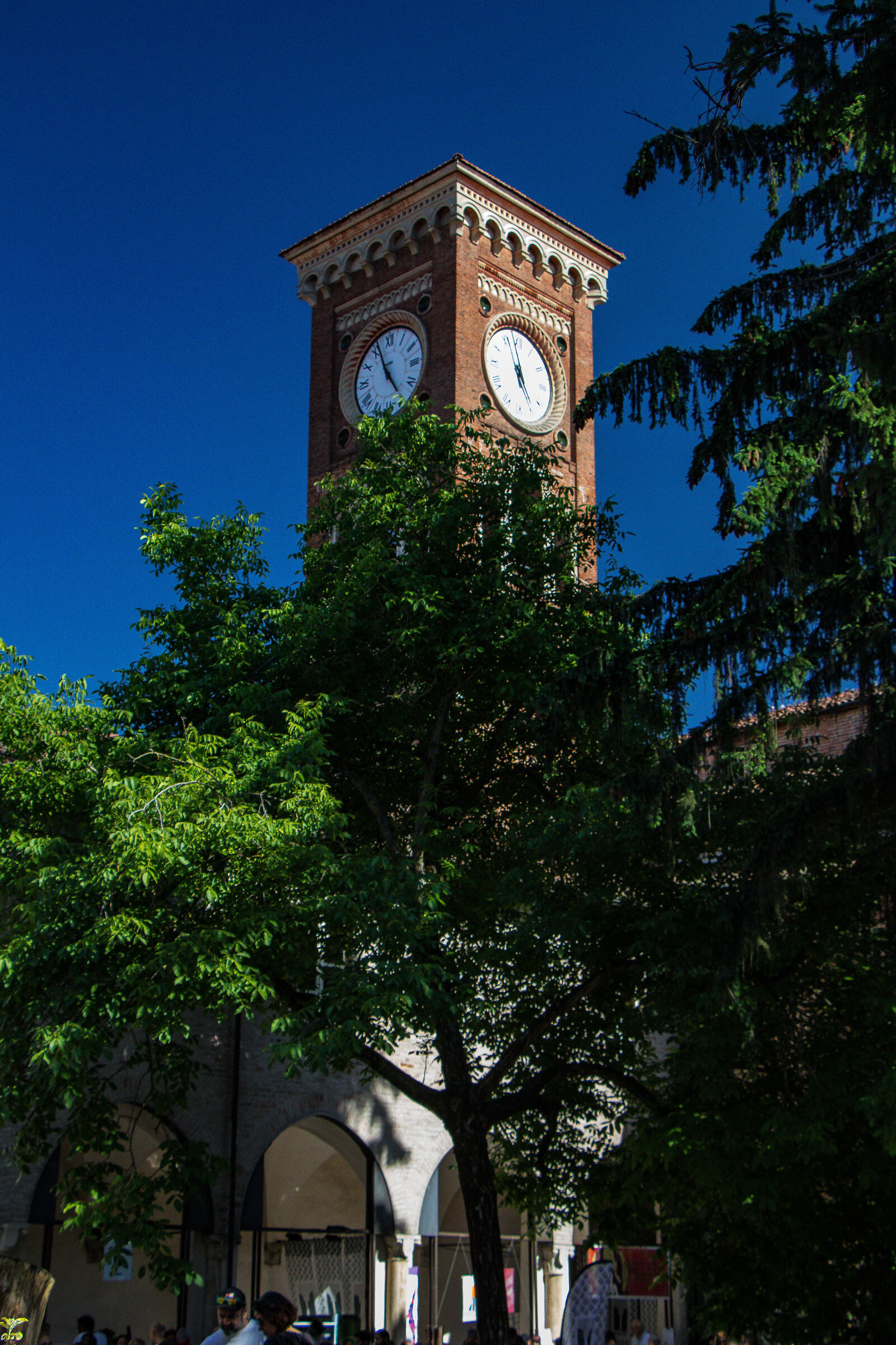 La torre si erge sugli alberi