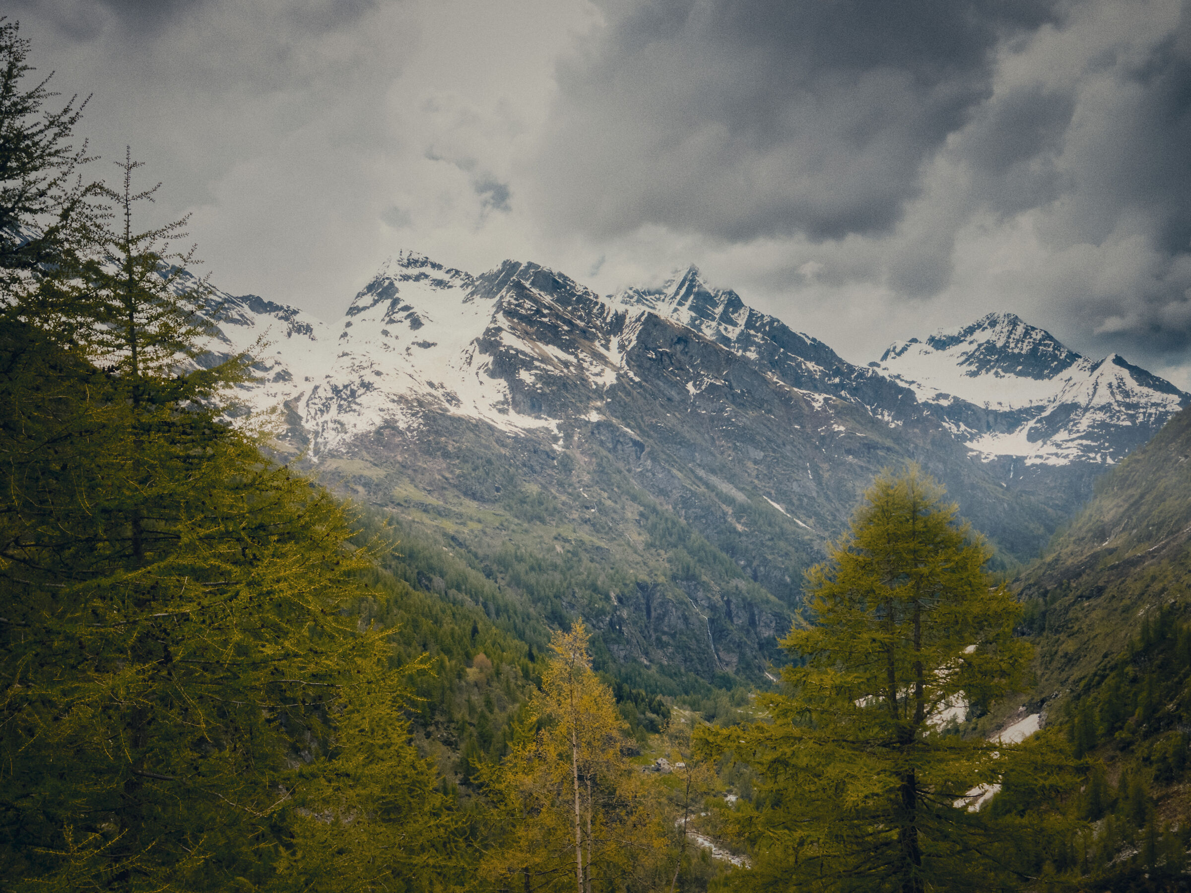 The Tagliaferro seen from the Crespi Calderini Refuge.