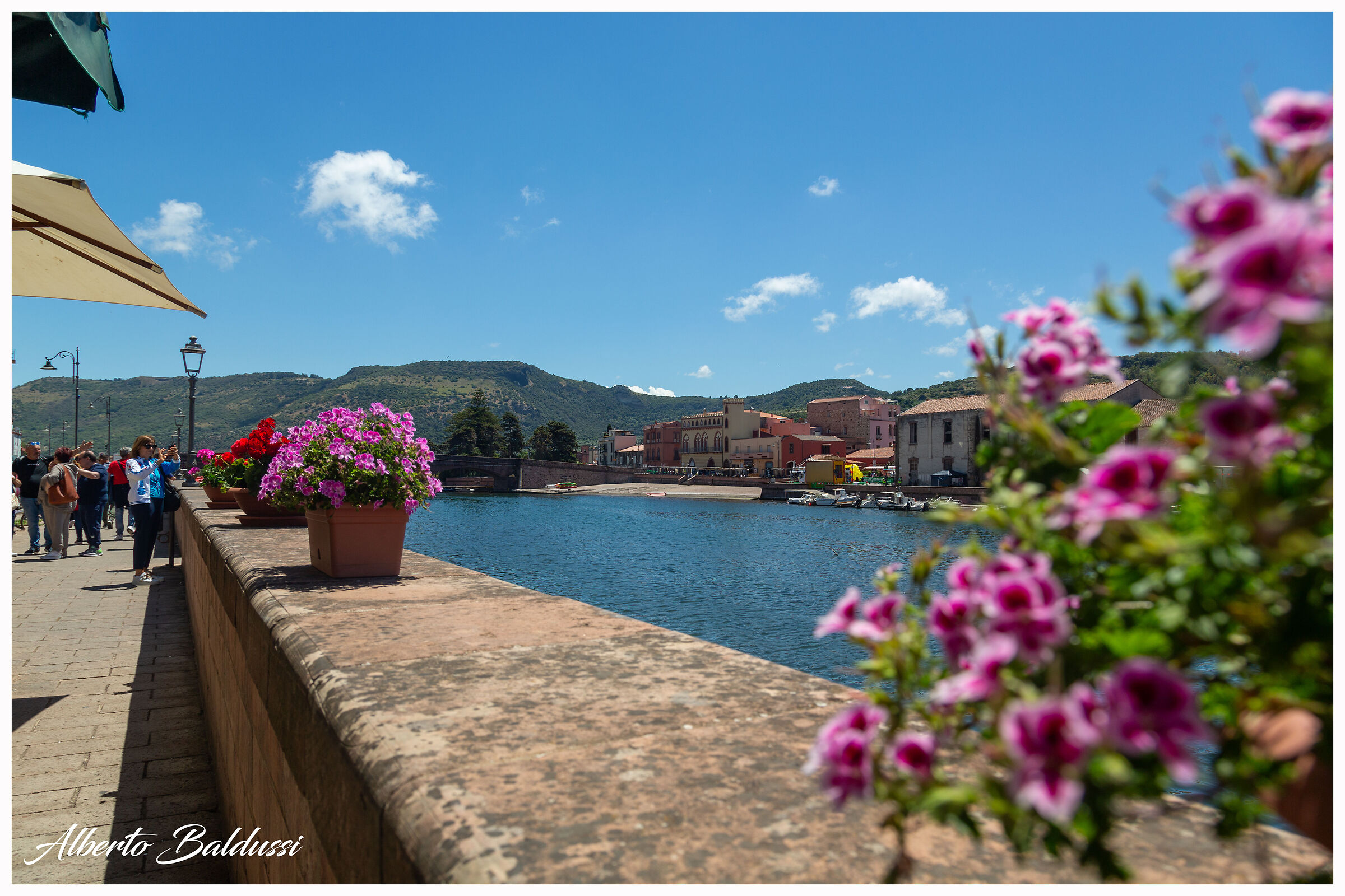 The flowery shore