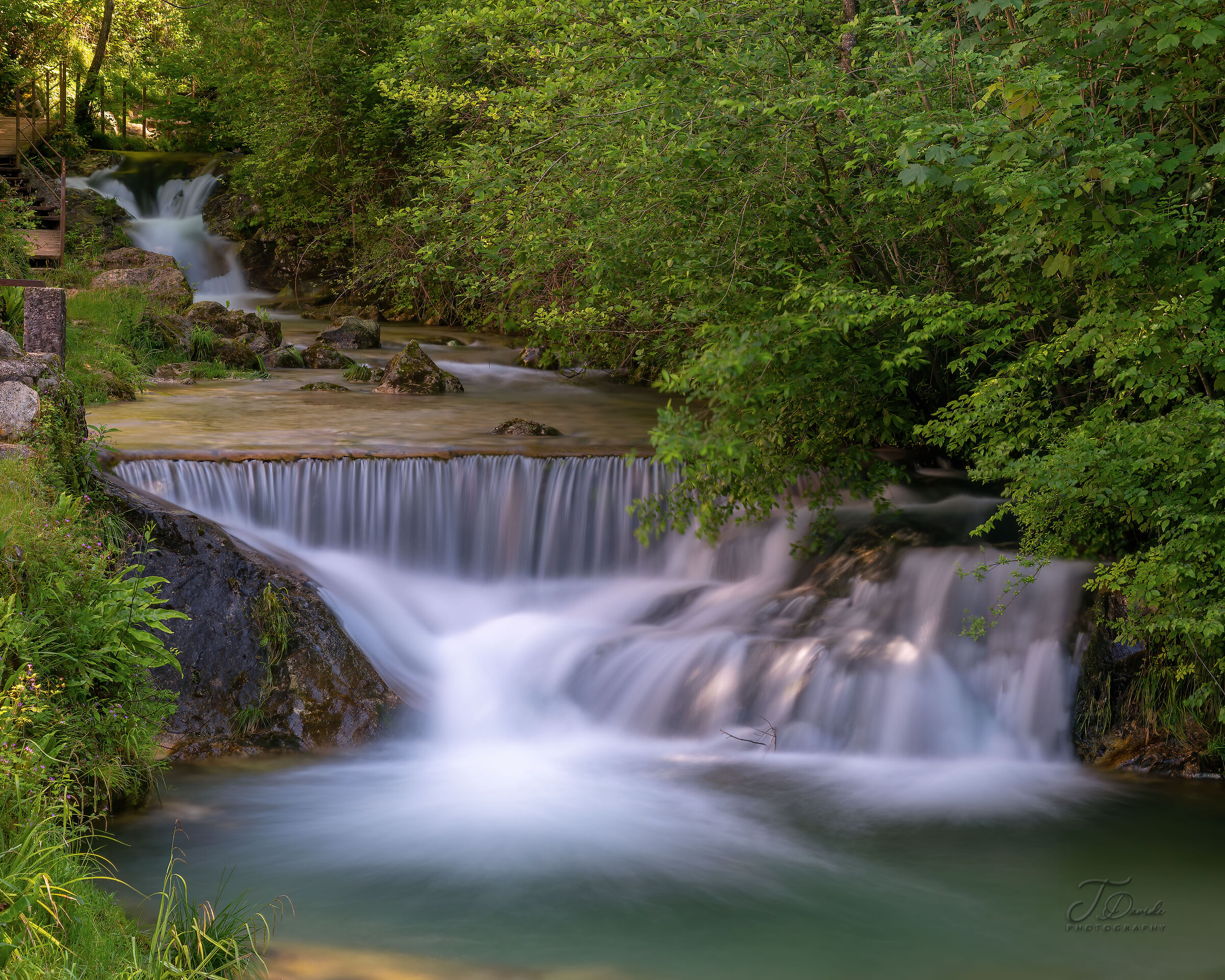 The Way of Water
