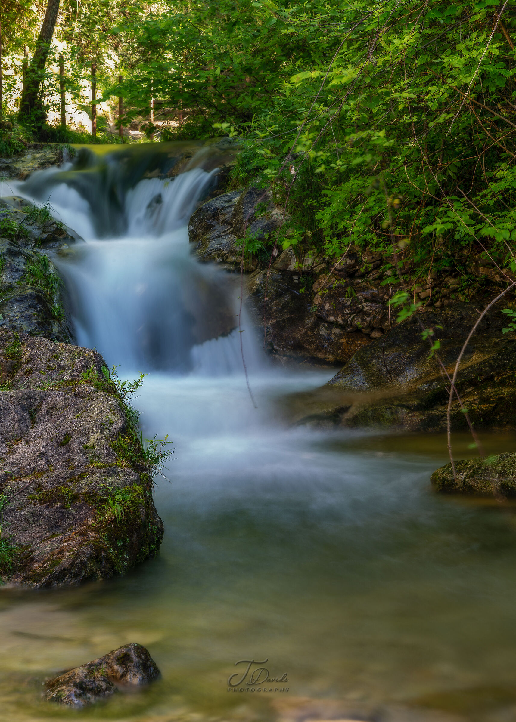 The Way of Water
