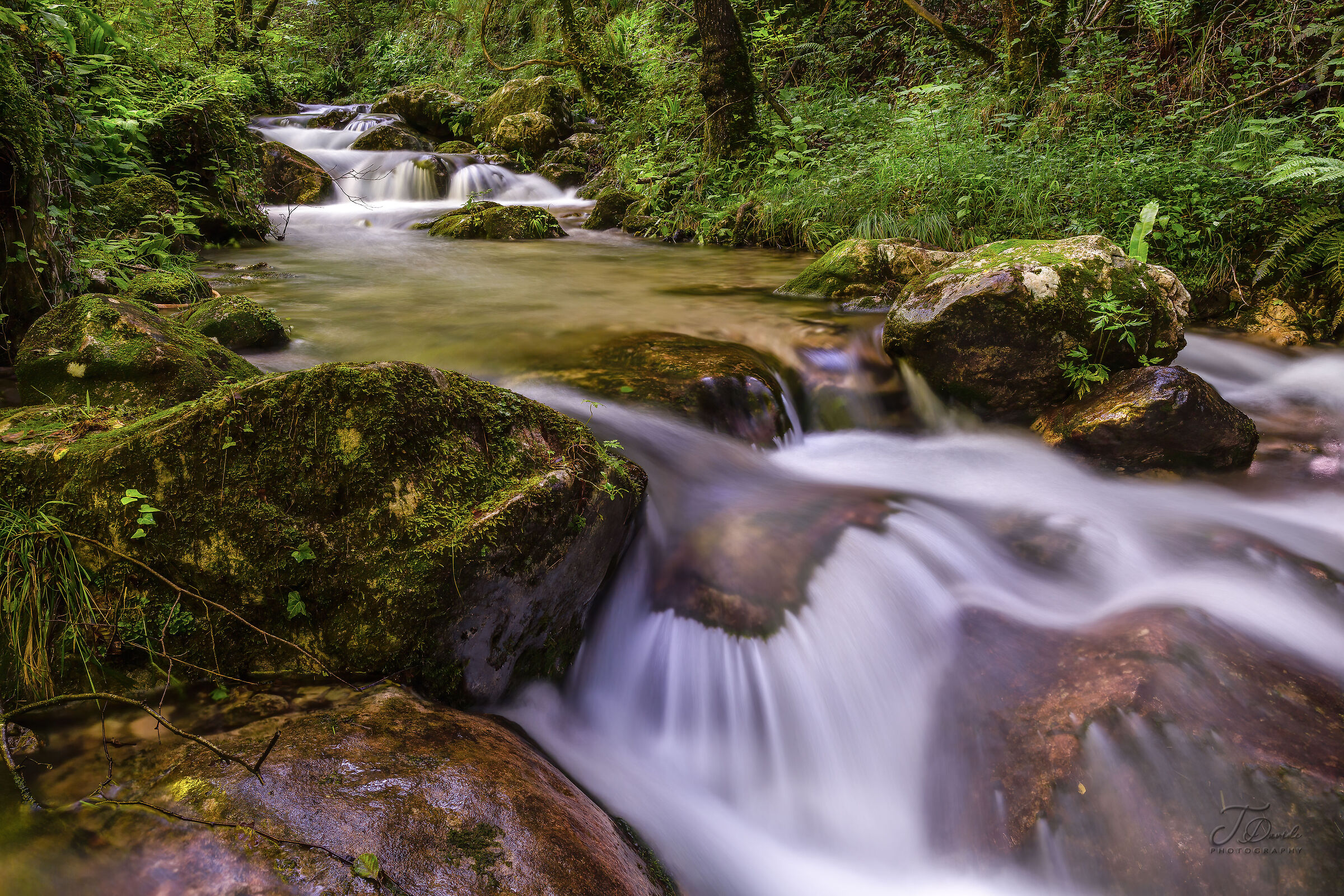 The Way of Water