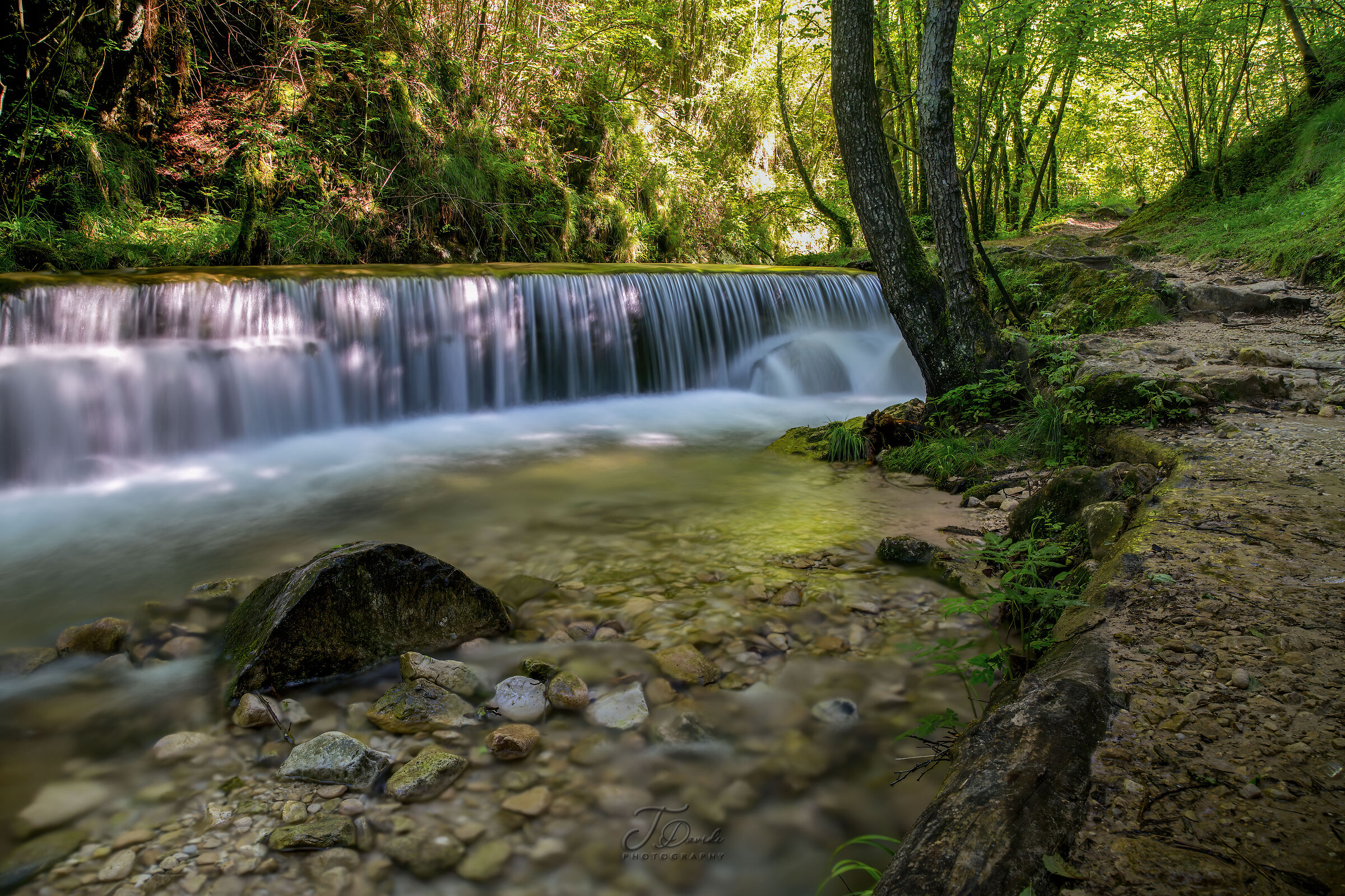 The Way of Water