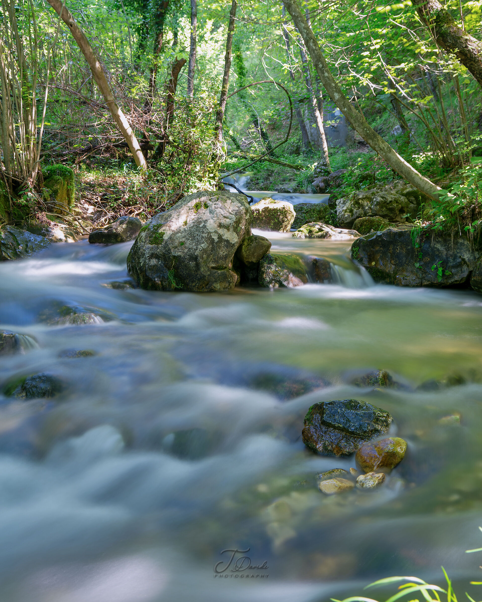 The Way of Water