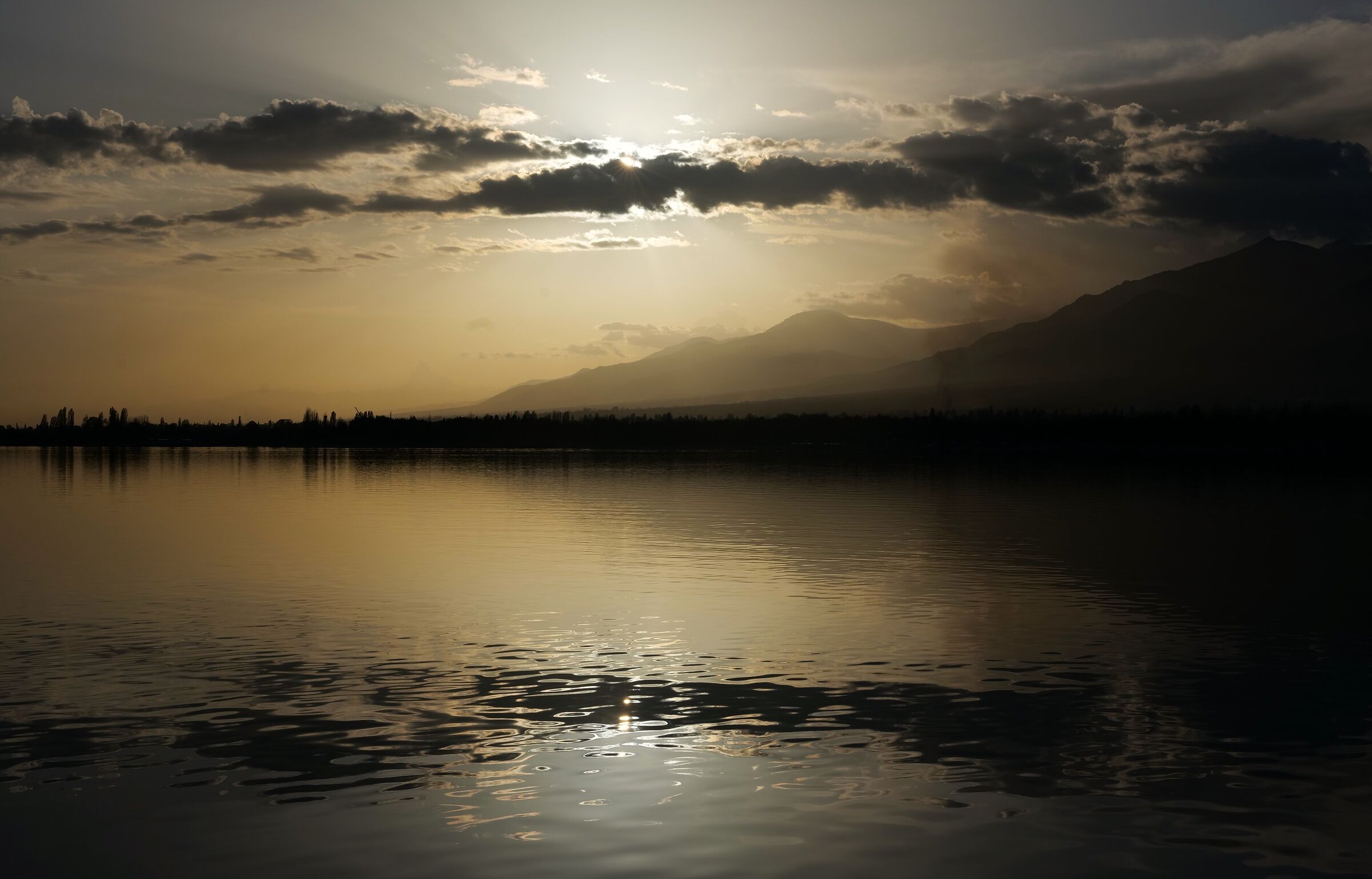 Untitled Photo