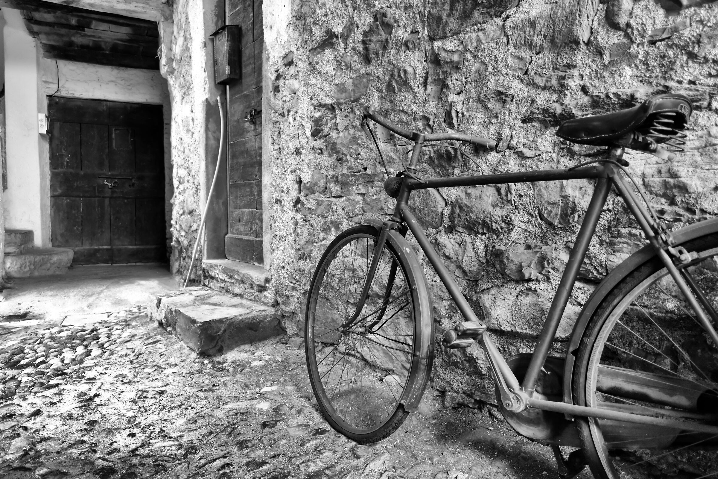 Il velocipede