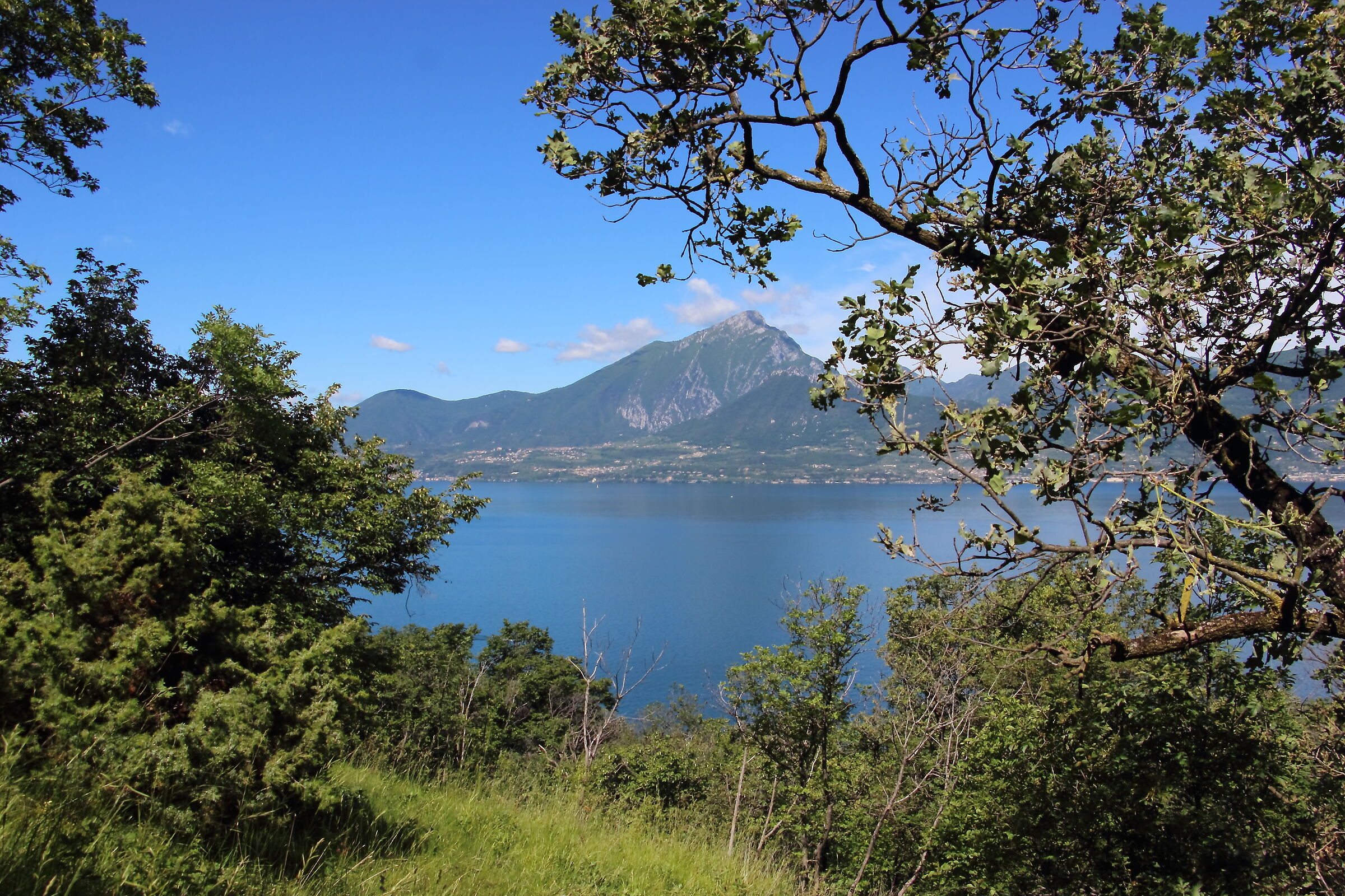 vista con lago