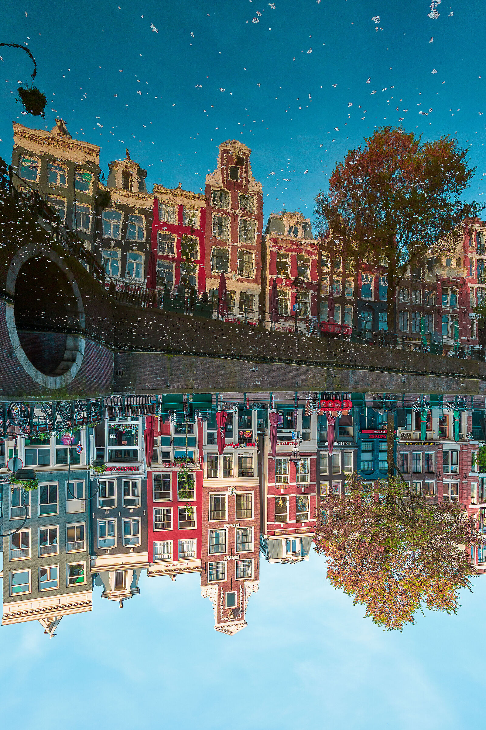 Upside Down 1