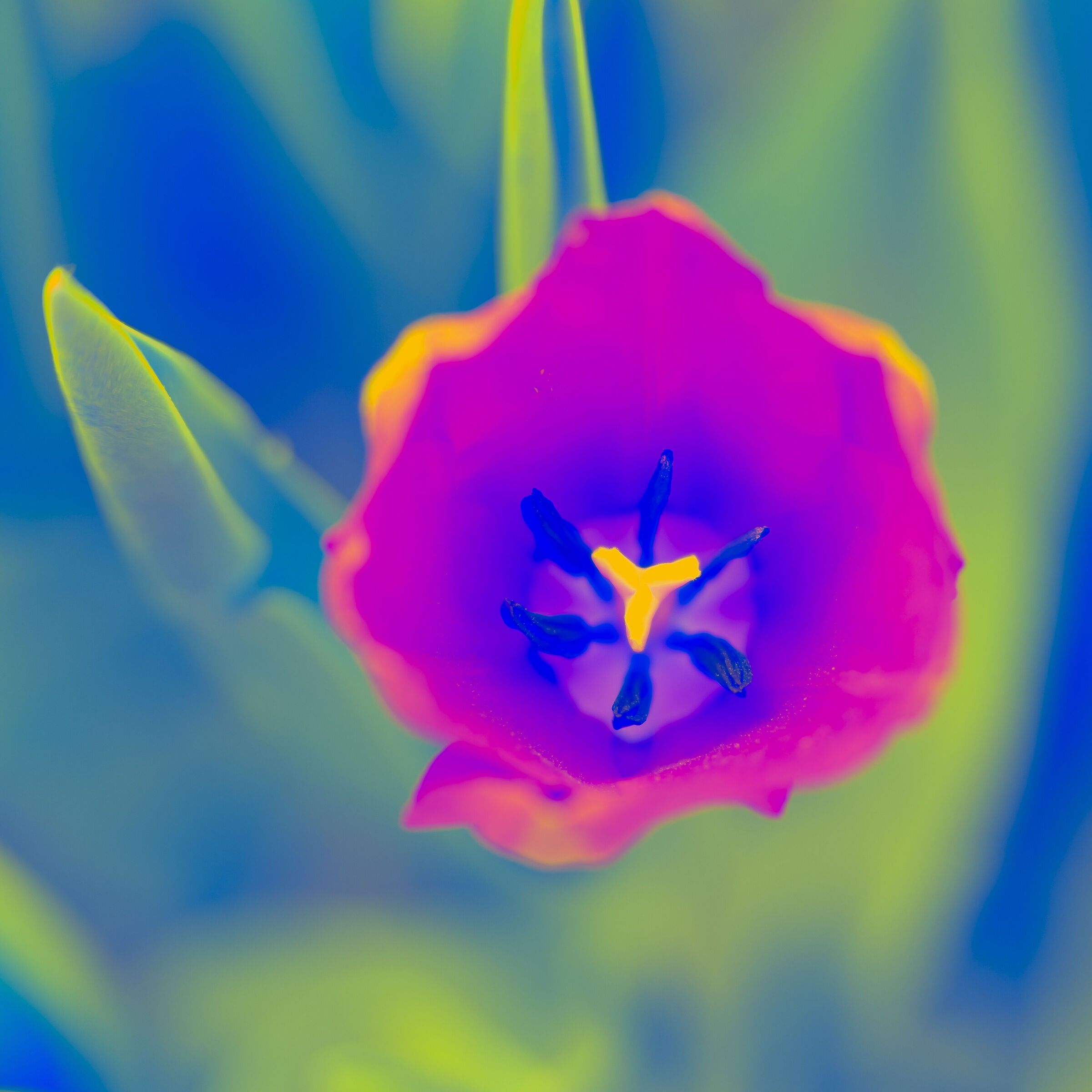 Untitled Photo