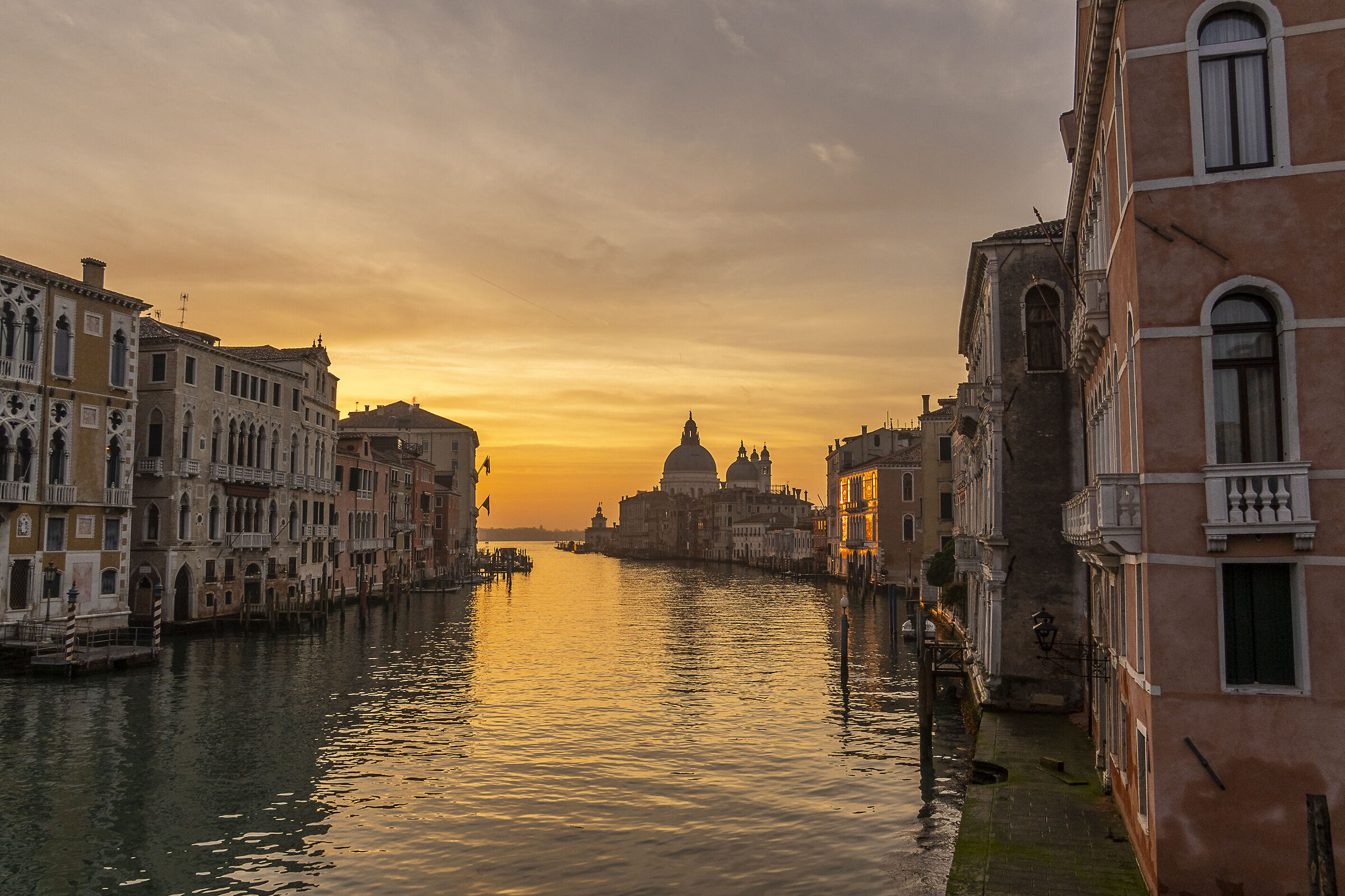 Venezia alba