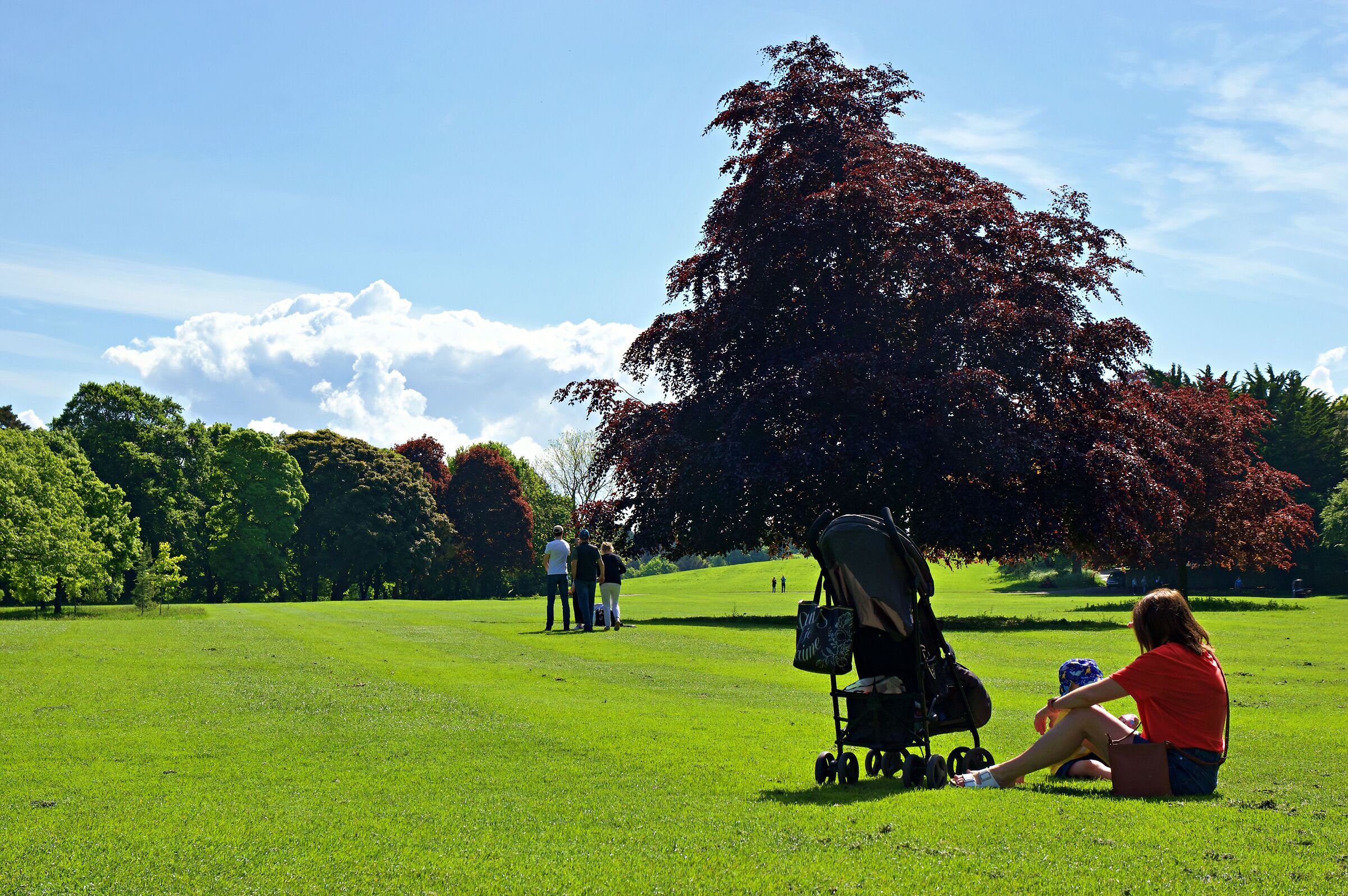 Relax al parco del Kilkenny Castle