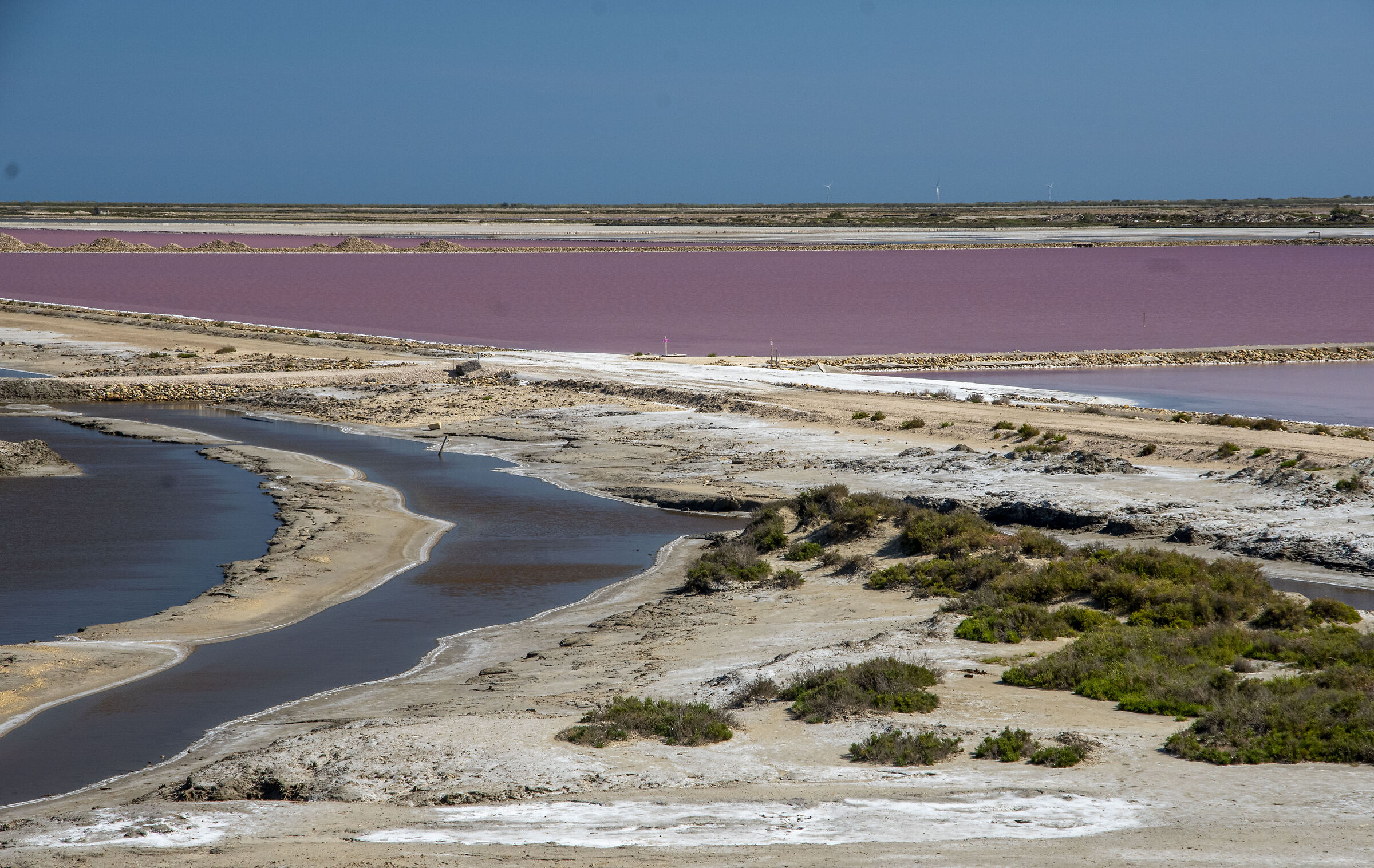 Camargue salt flats France