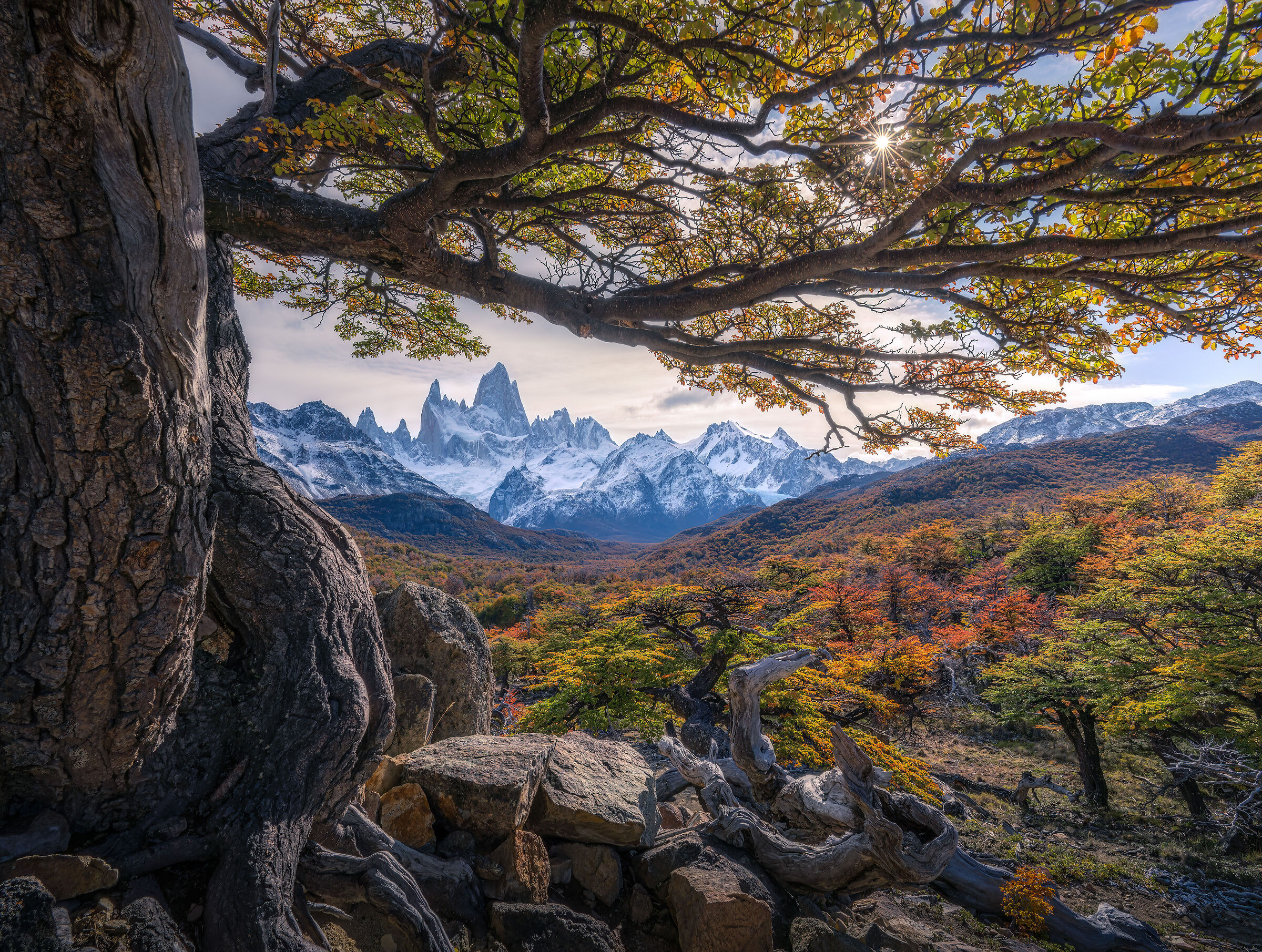 Autunno in Patagonia