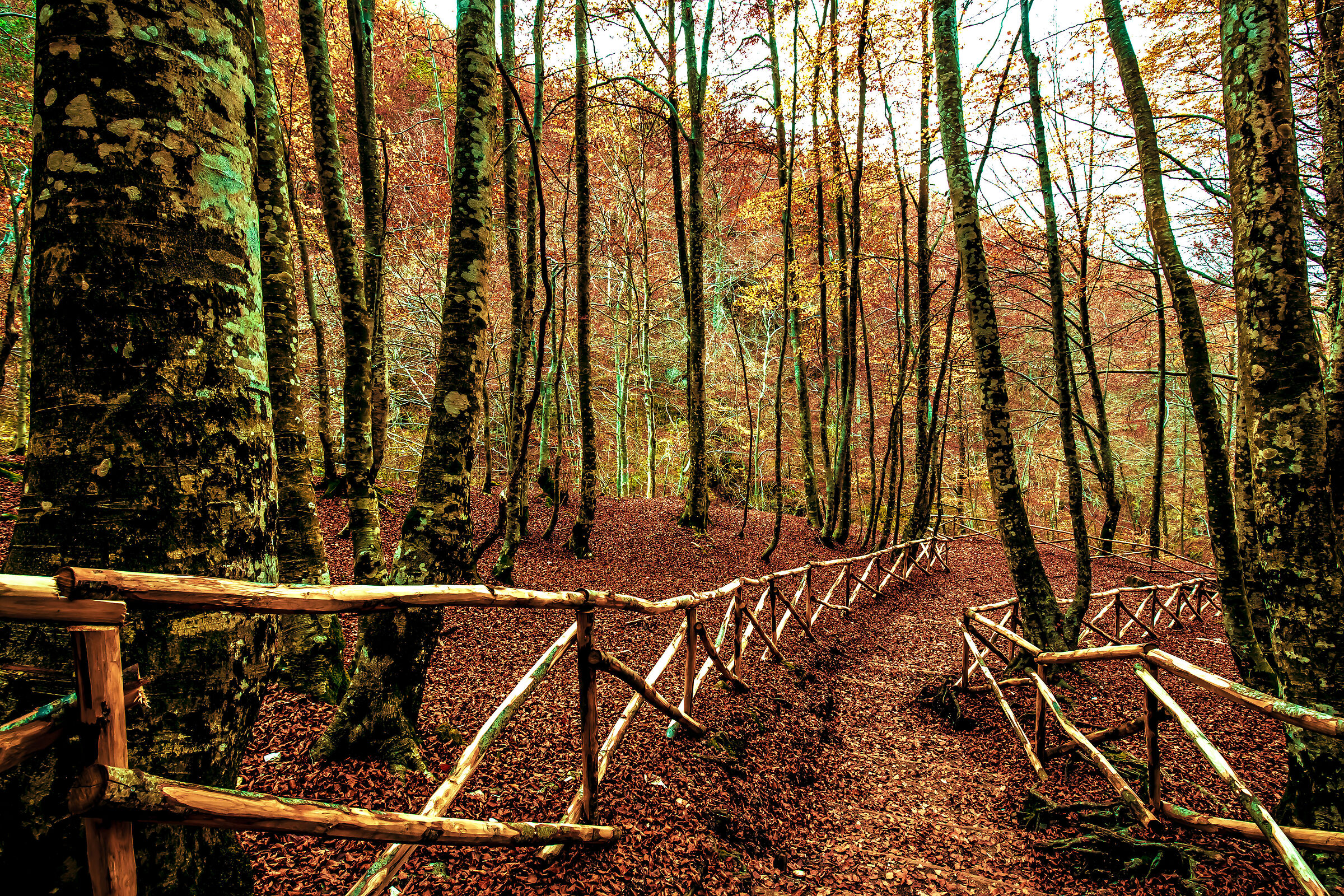 Autunno