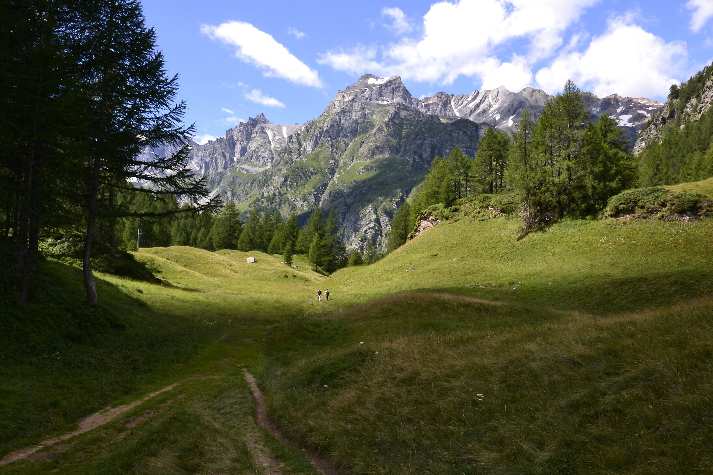 Devero