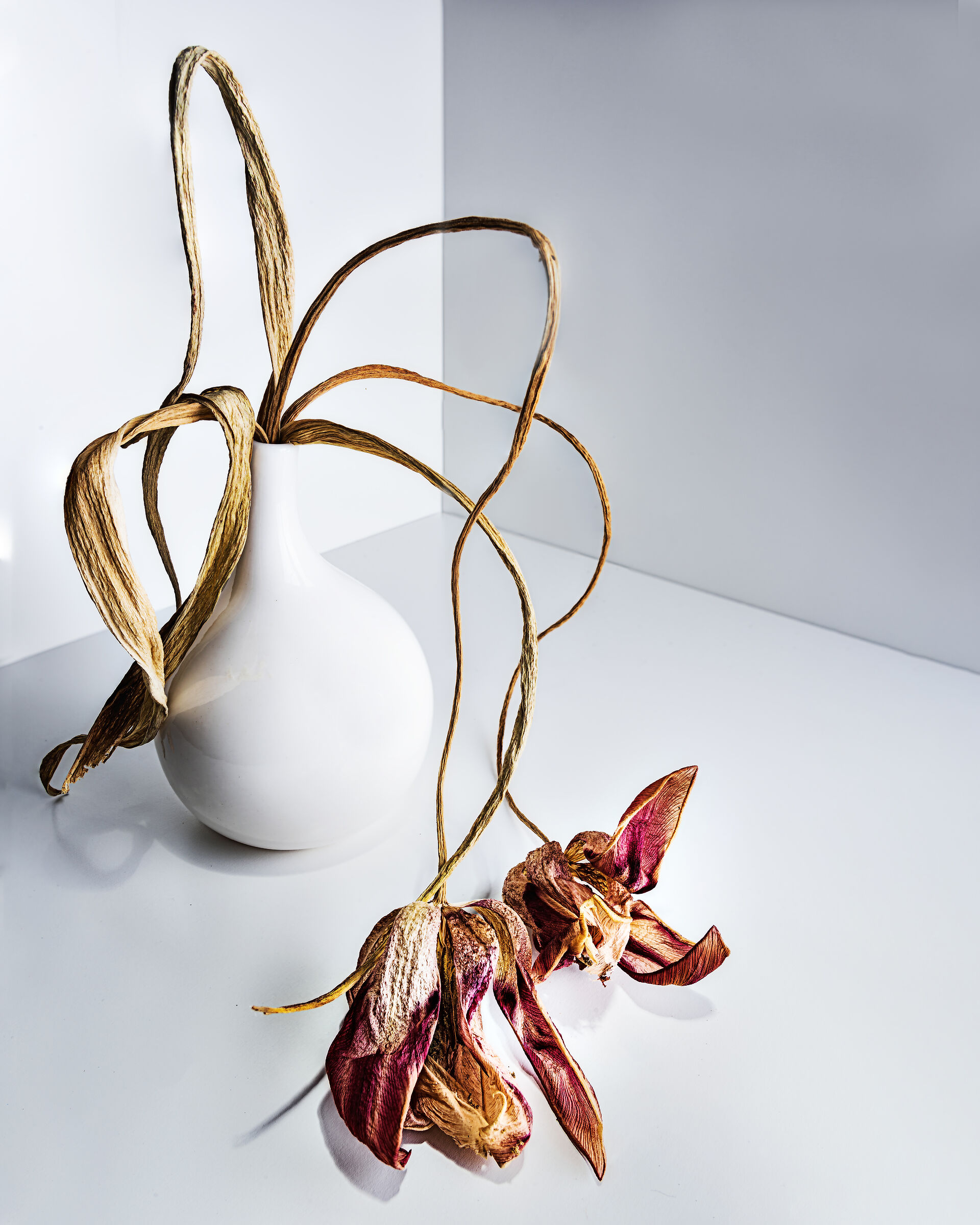 Alternative perspectives