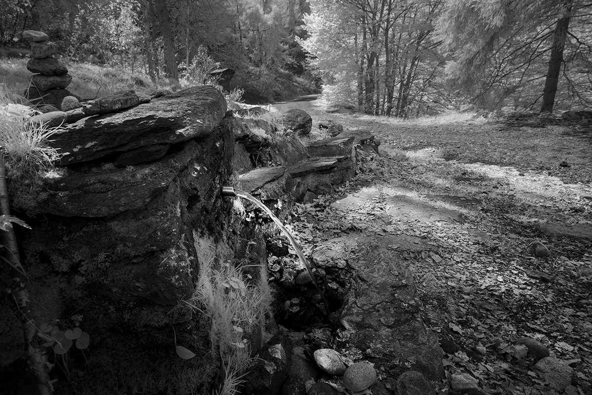 The Drinking Fountain