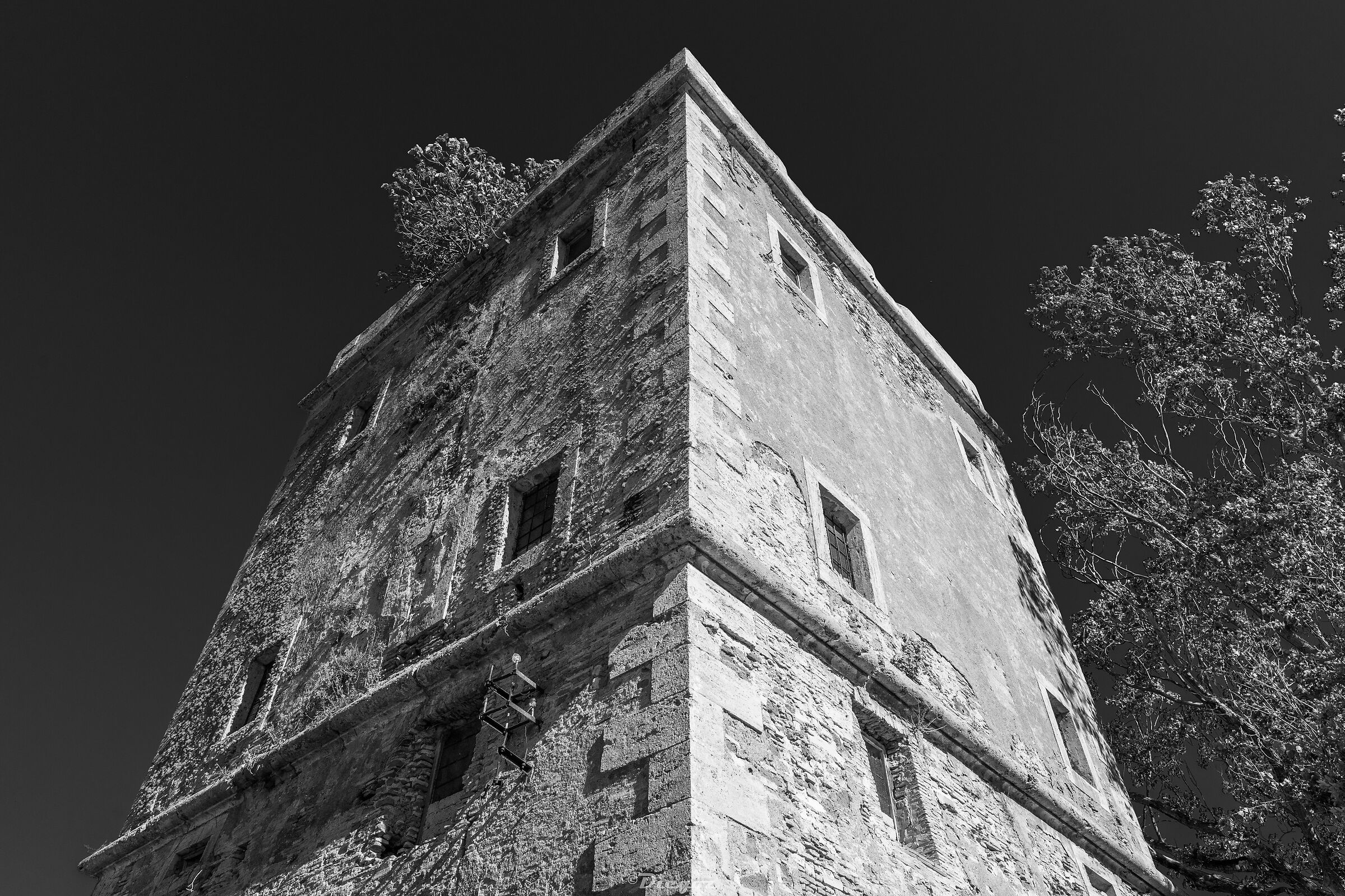 Untitled Photo