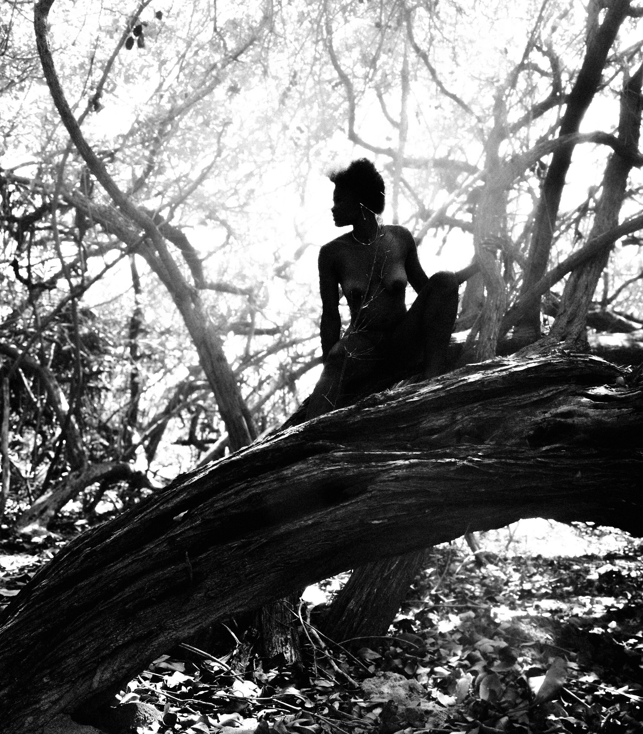In forest