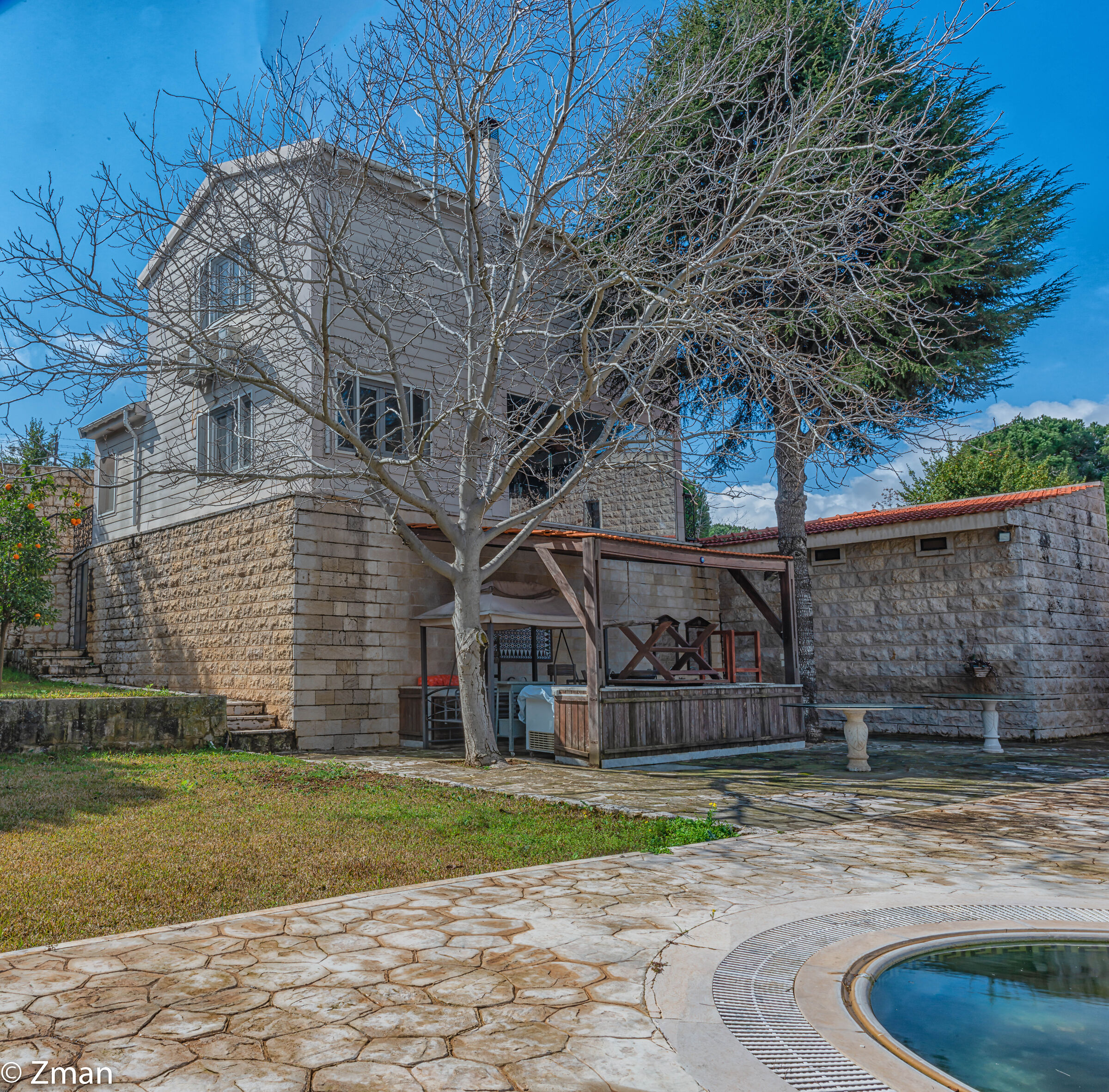La Palestra e il Cedro