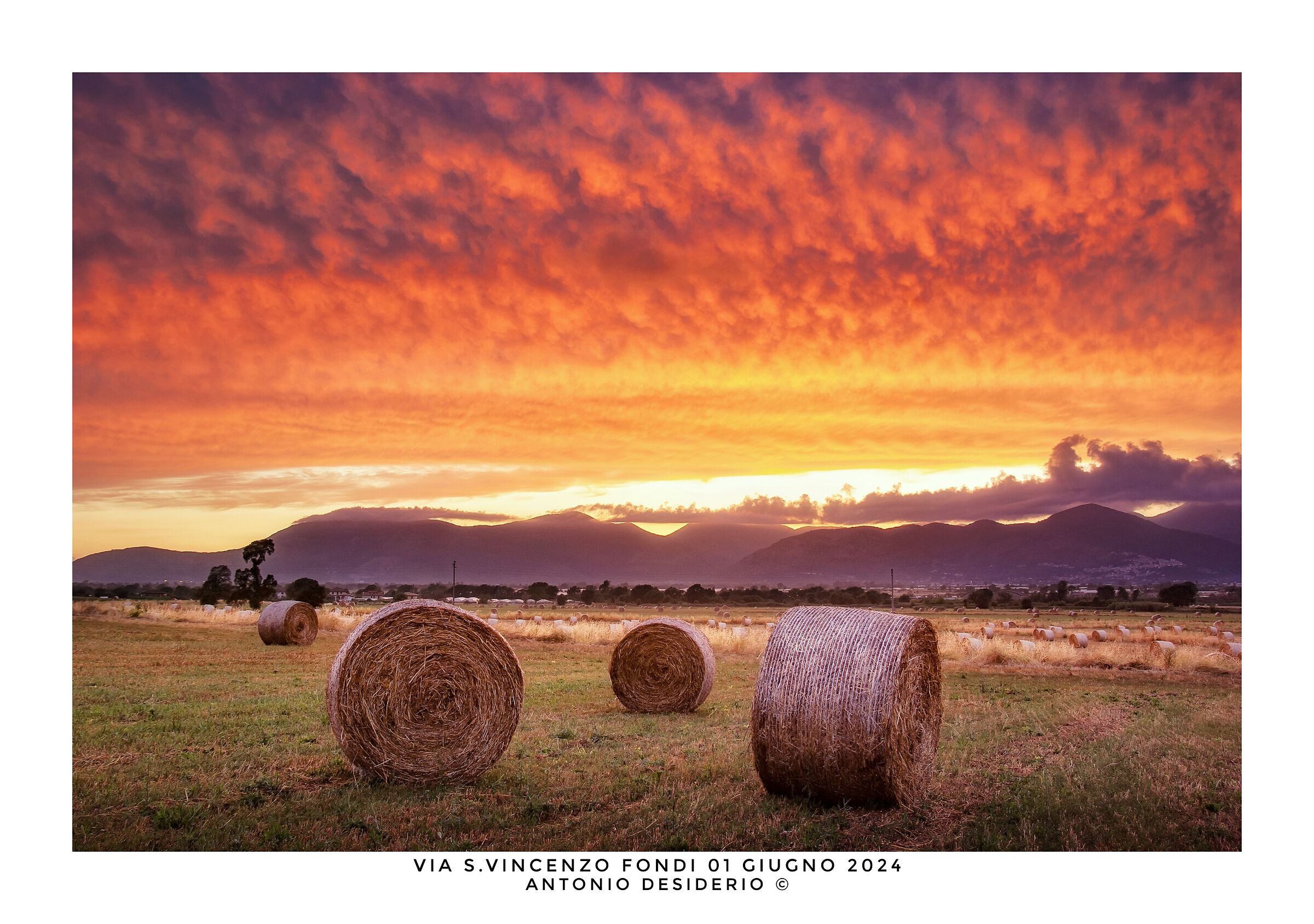 Red in the evening, nice photo by spera XD