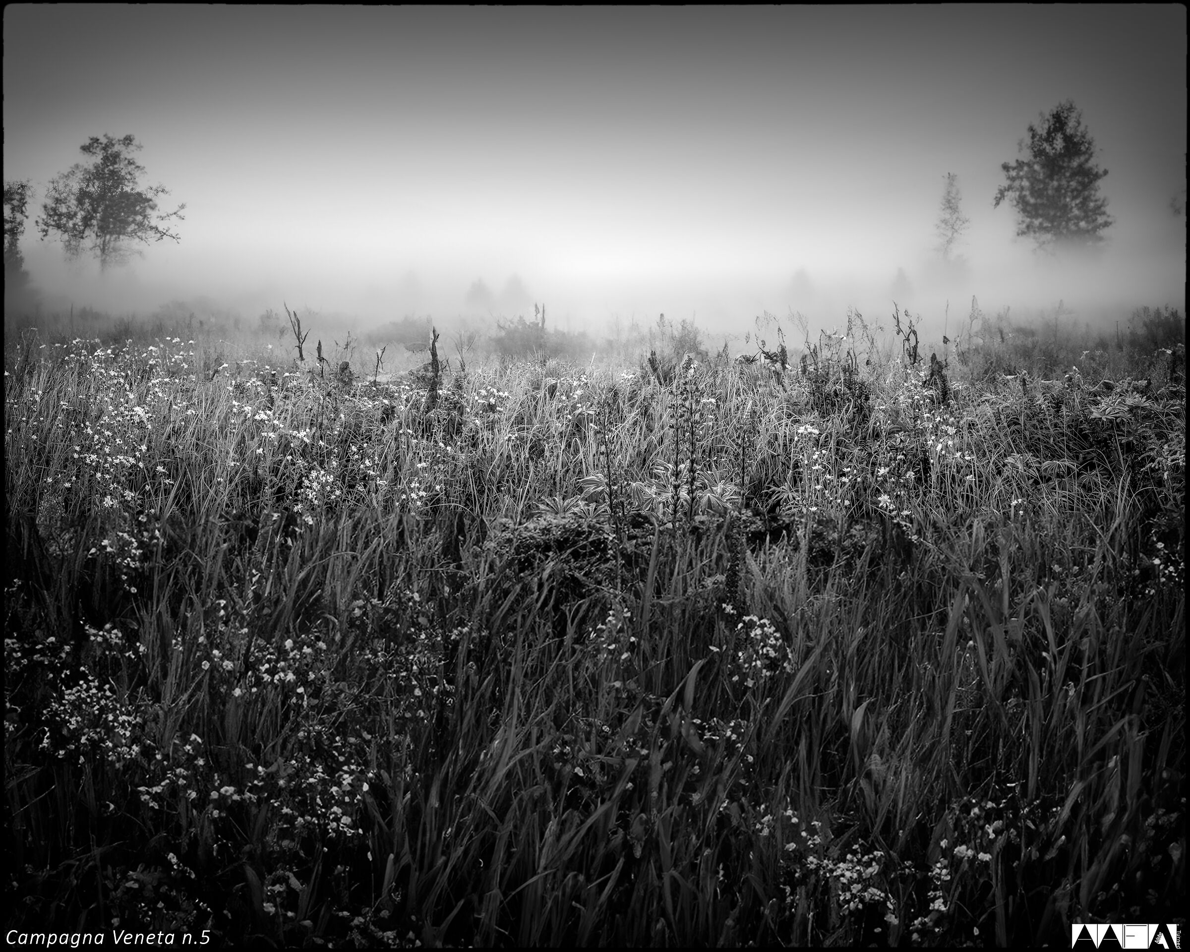 Campagna Veneta n.5-2010