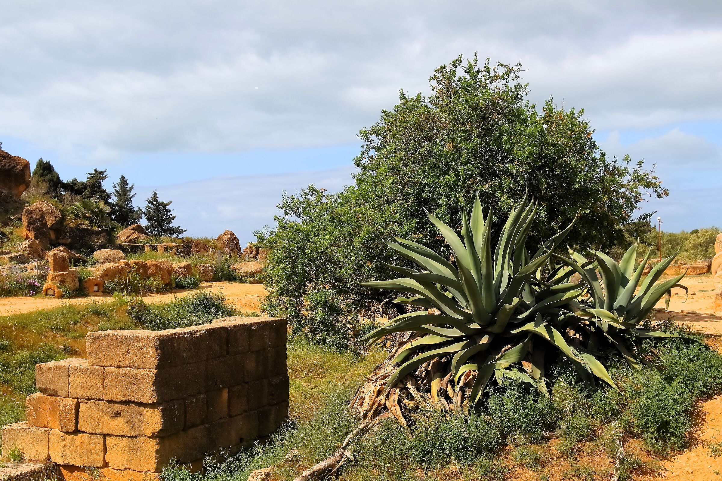 Valley of the Temples 18-04-2024 - 0590