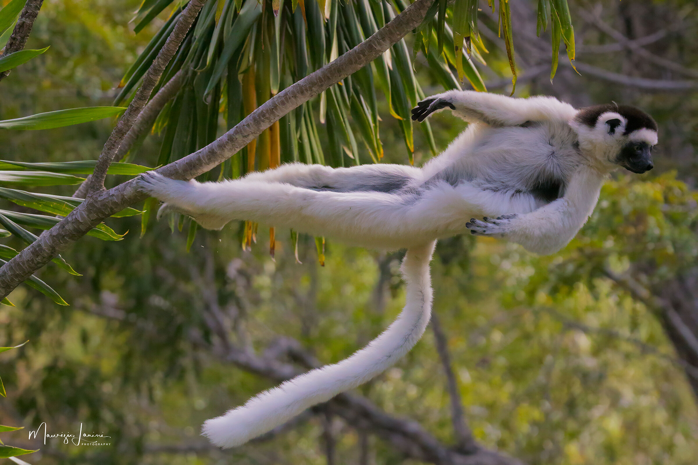 L'attimo dello stacco