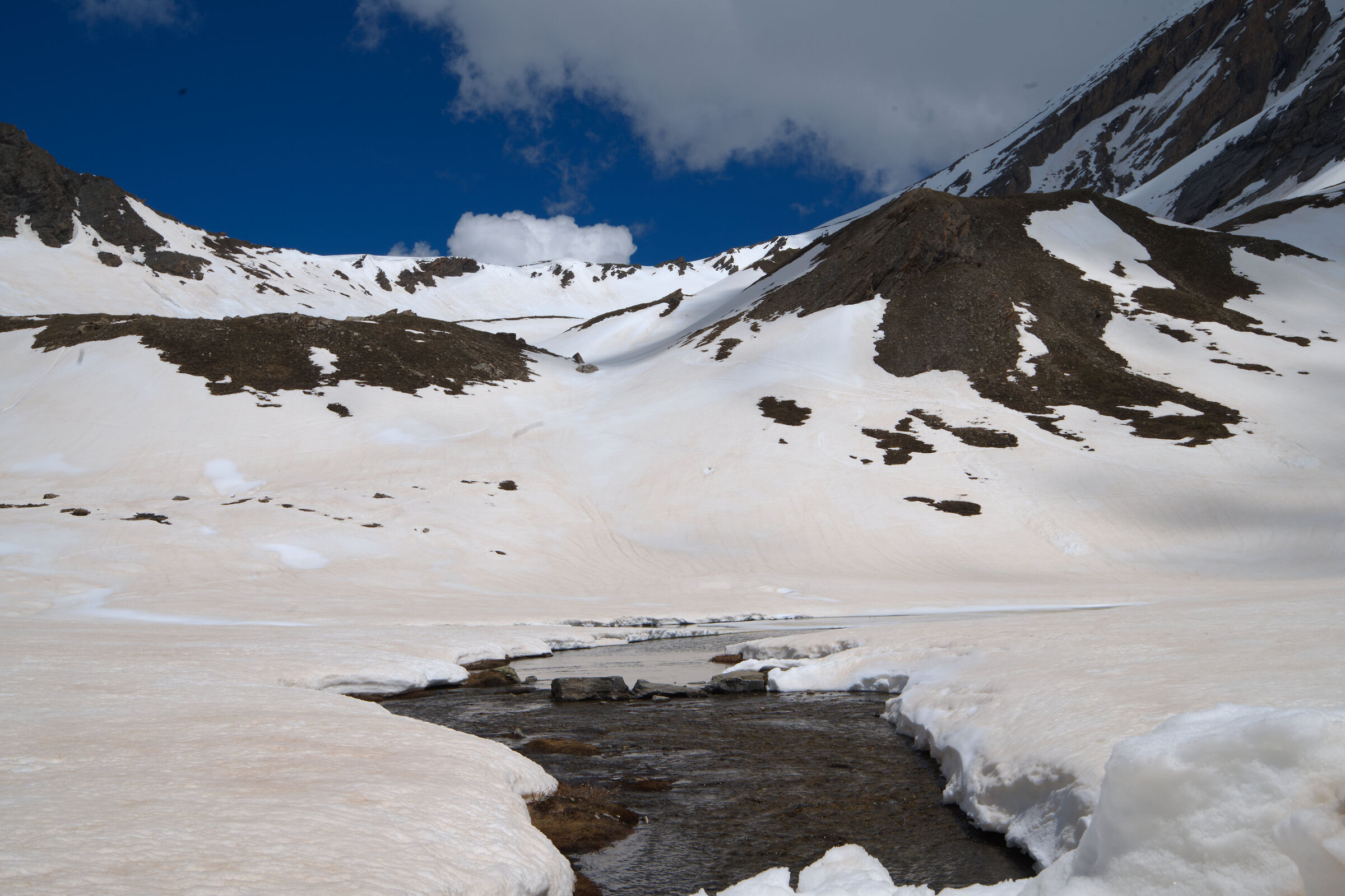 Colle del Agnello. Inizia la Primavera