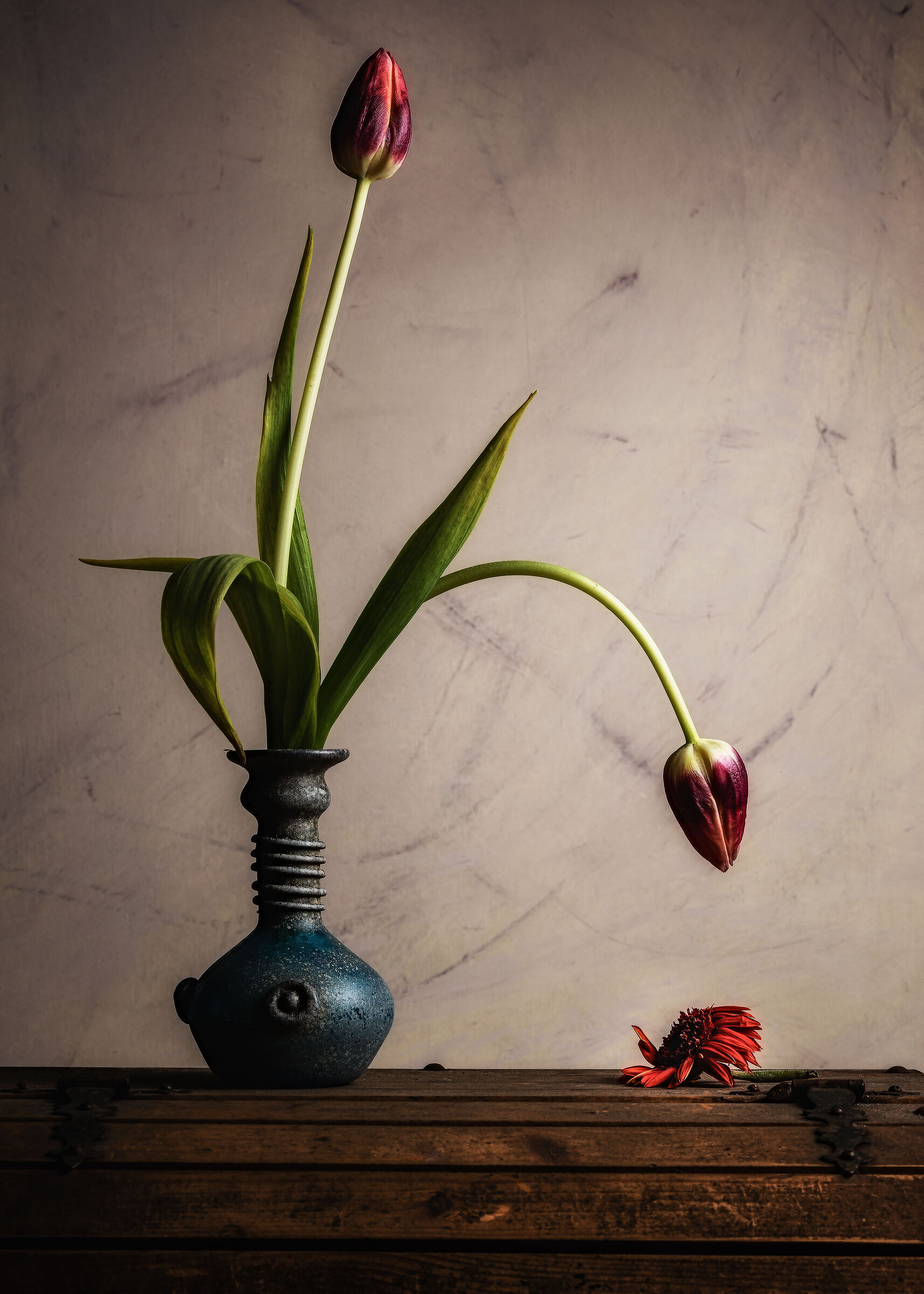 Allegory on the Cycle of Life