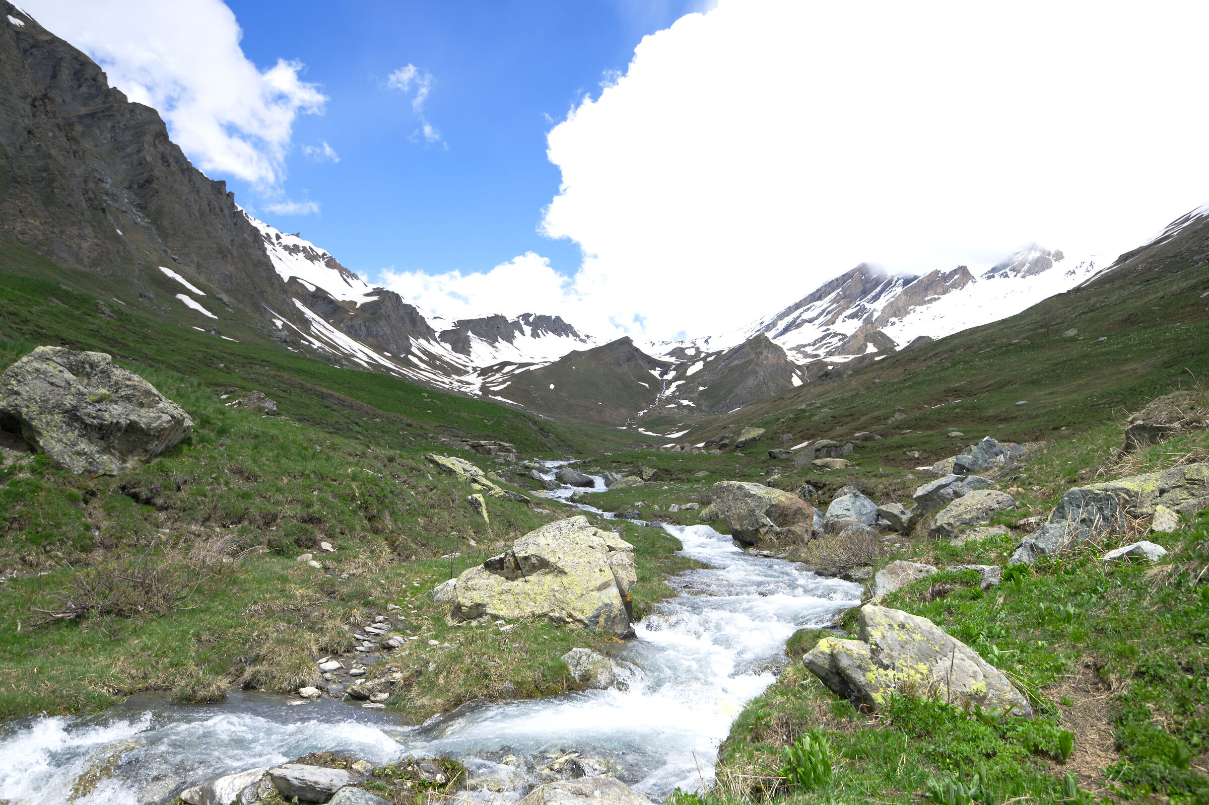 Prati verdi di MOntagna