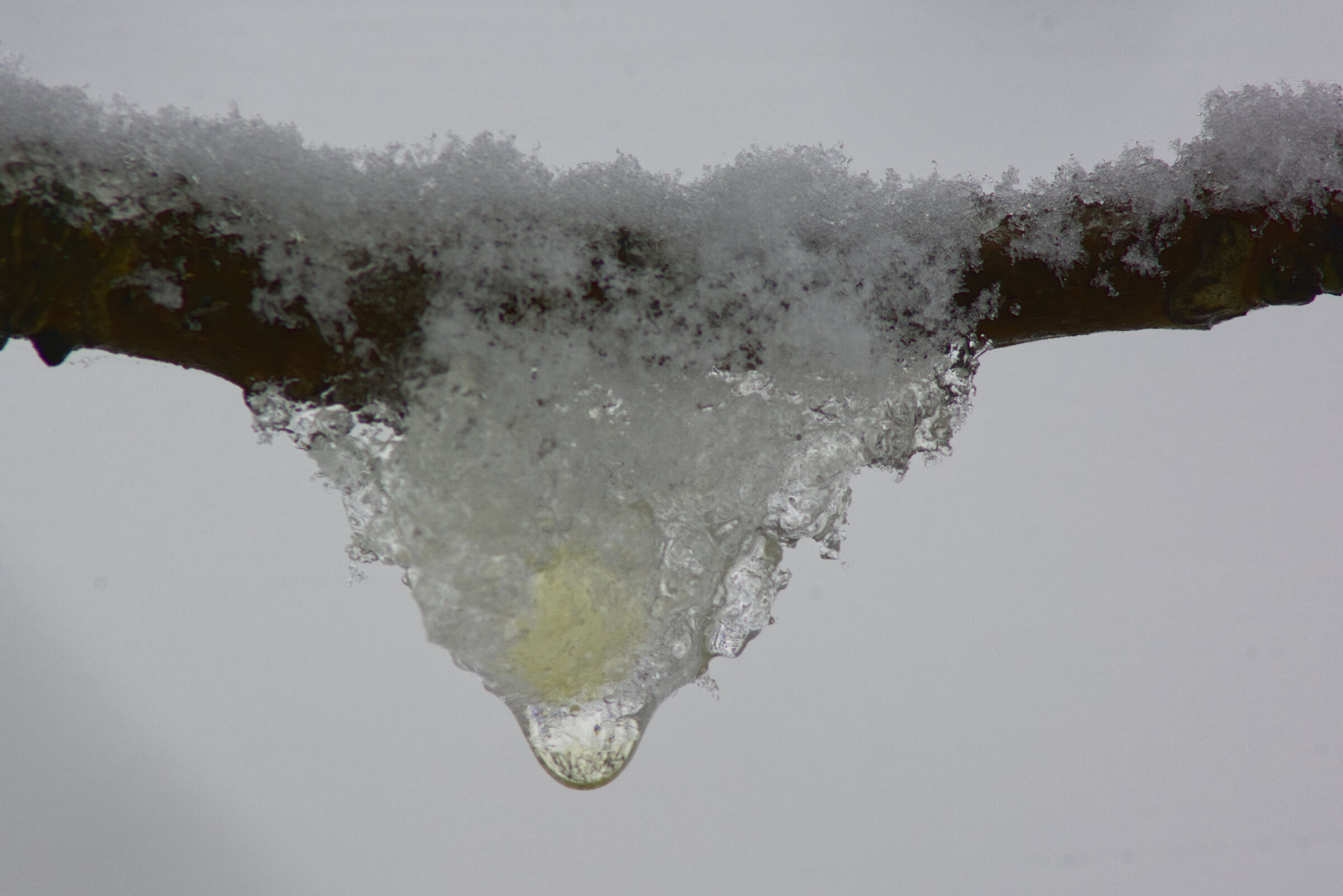 Segnali di risveglio