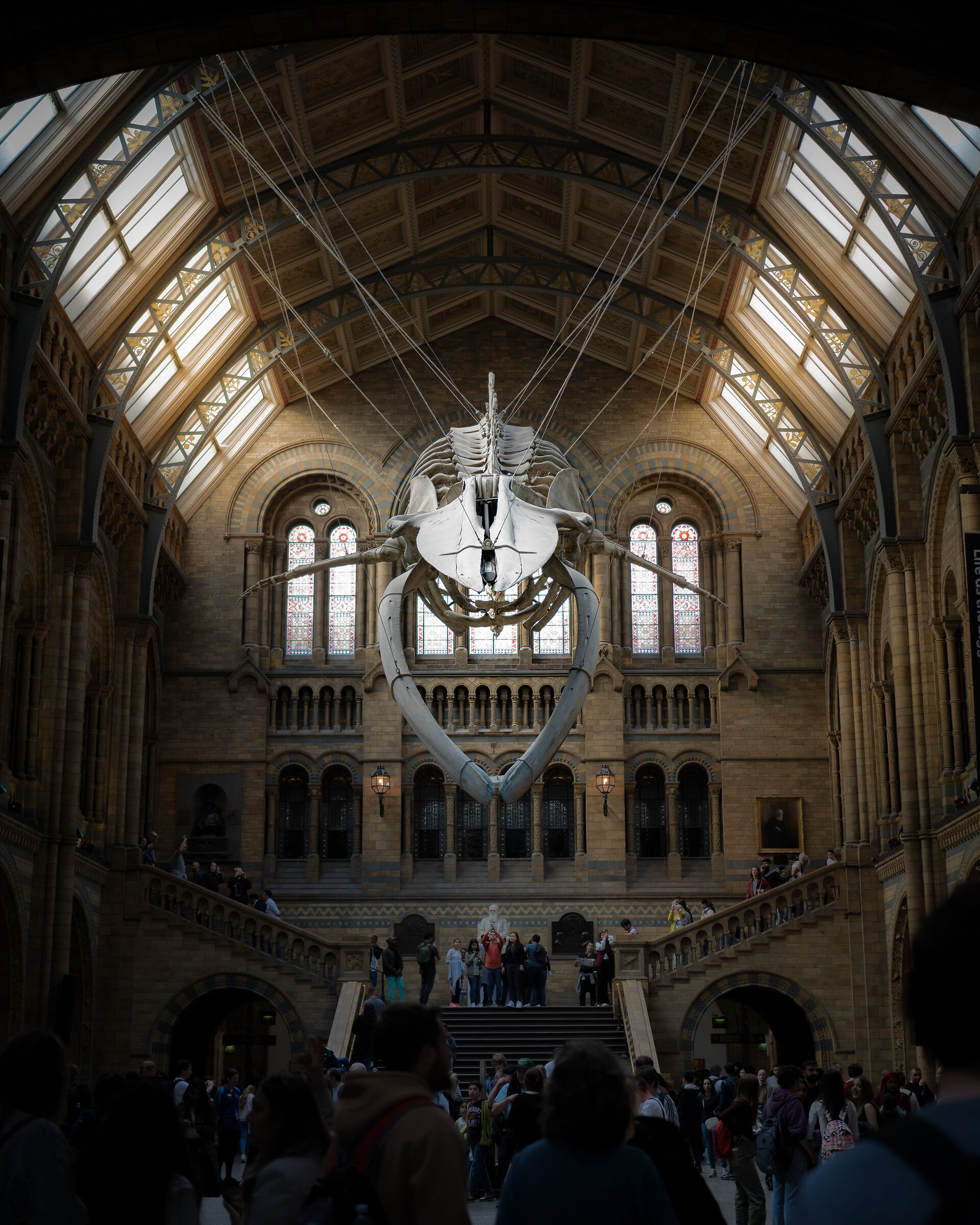 Are you sure you speak whale?