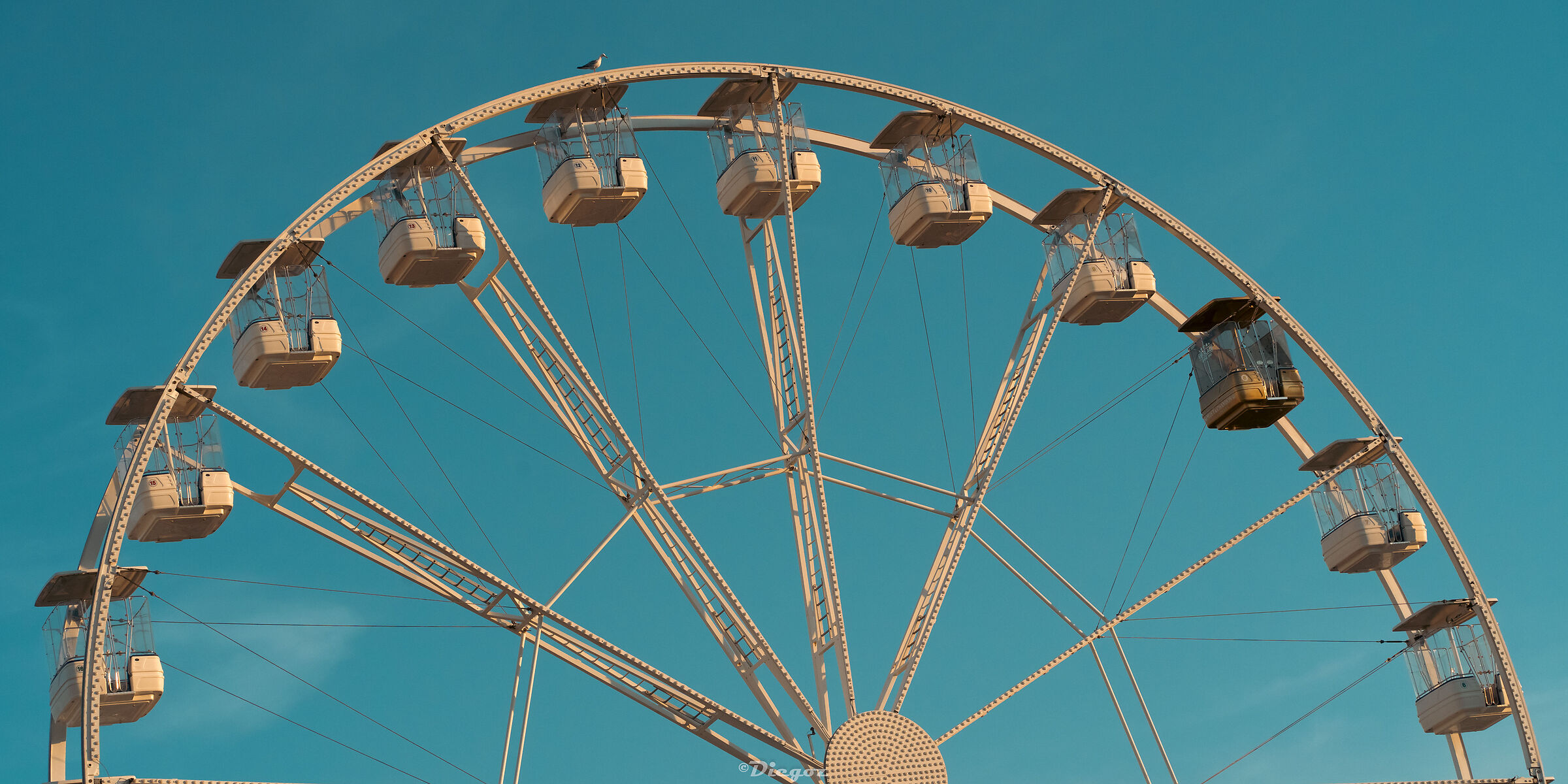 Untitled Photo