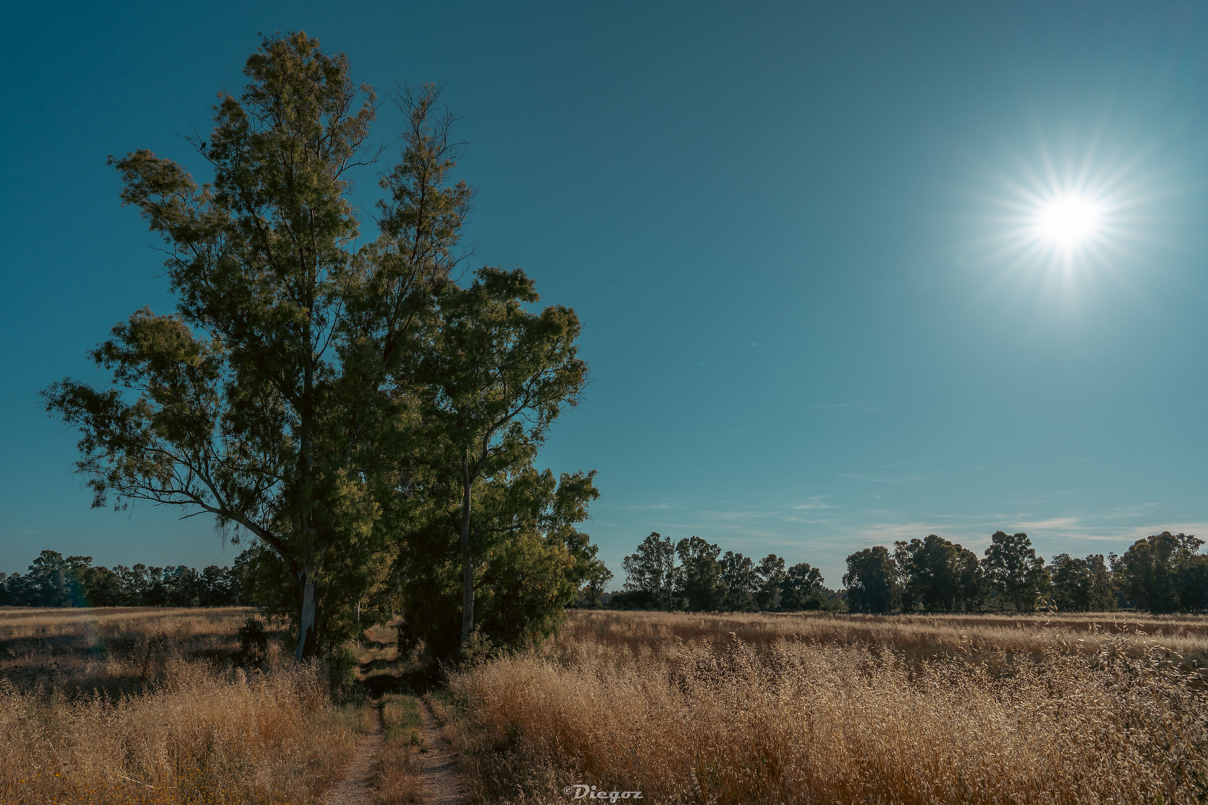 Untitled Photo
