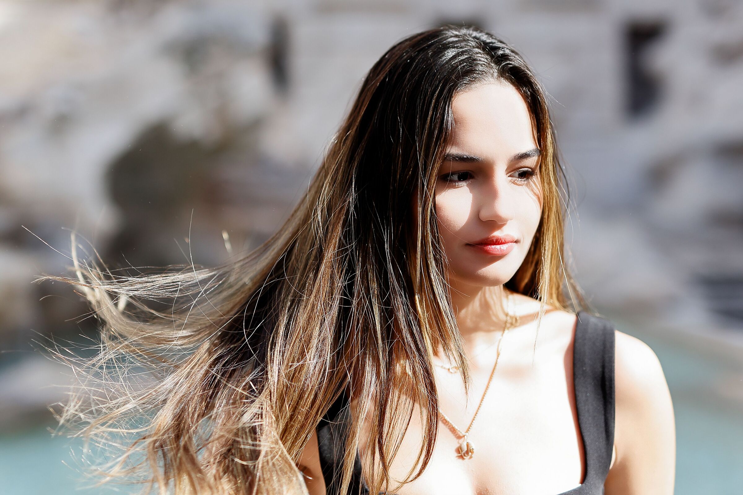 The sun has come, a lot of sun