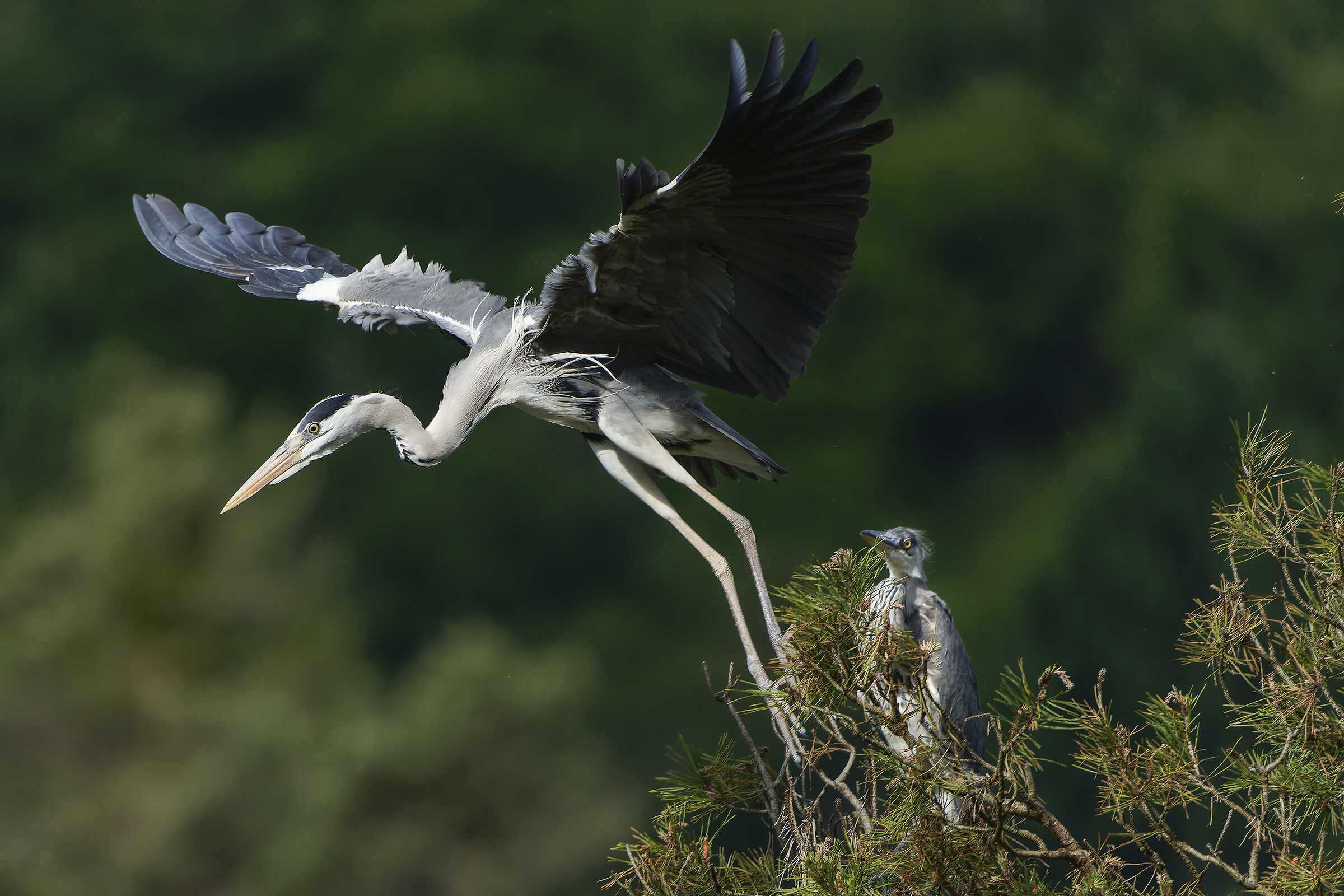 E via di nuovo a pescare