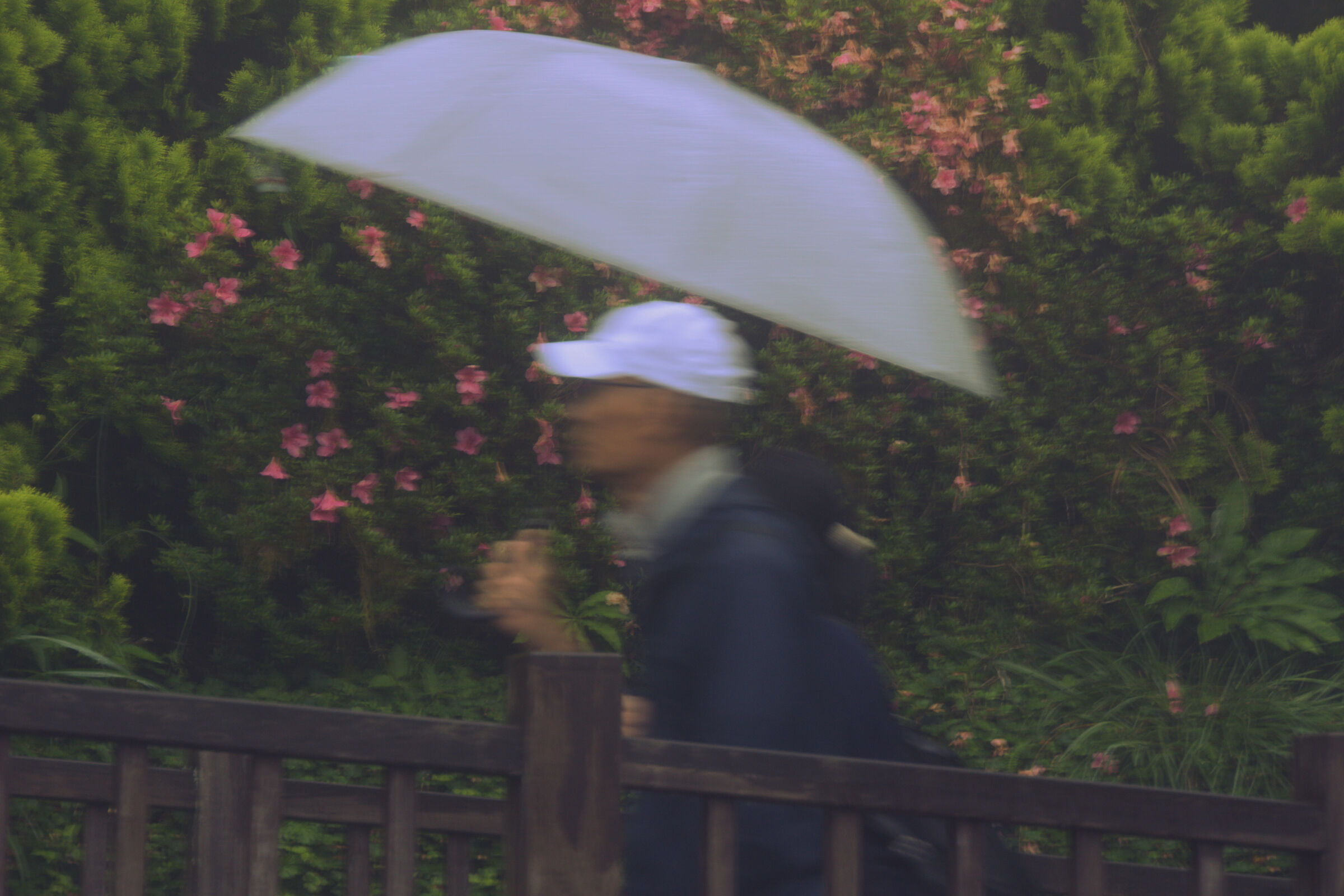 Impressions of June
