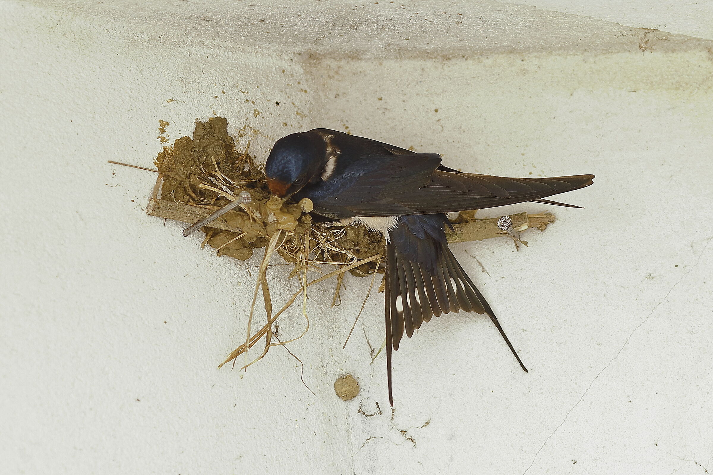 Every now and then a little help is needed...