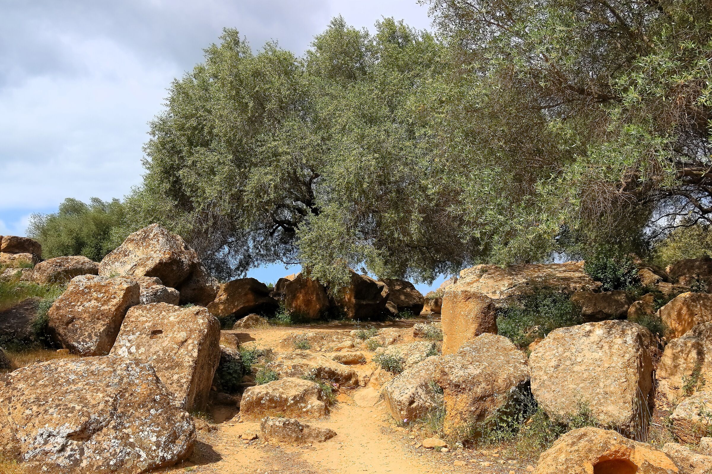 Valley of the Temples 18-04-2024 - 0592