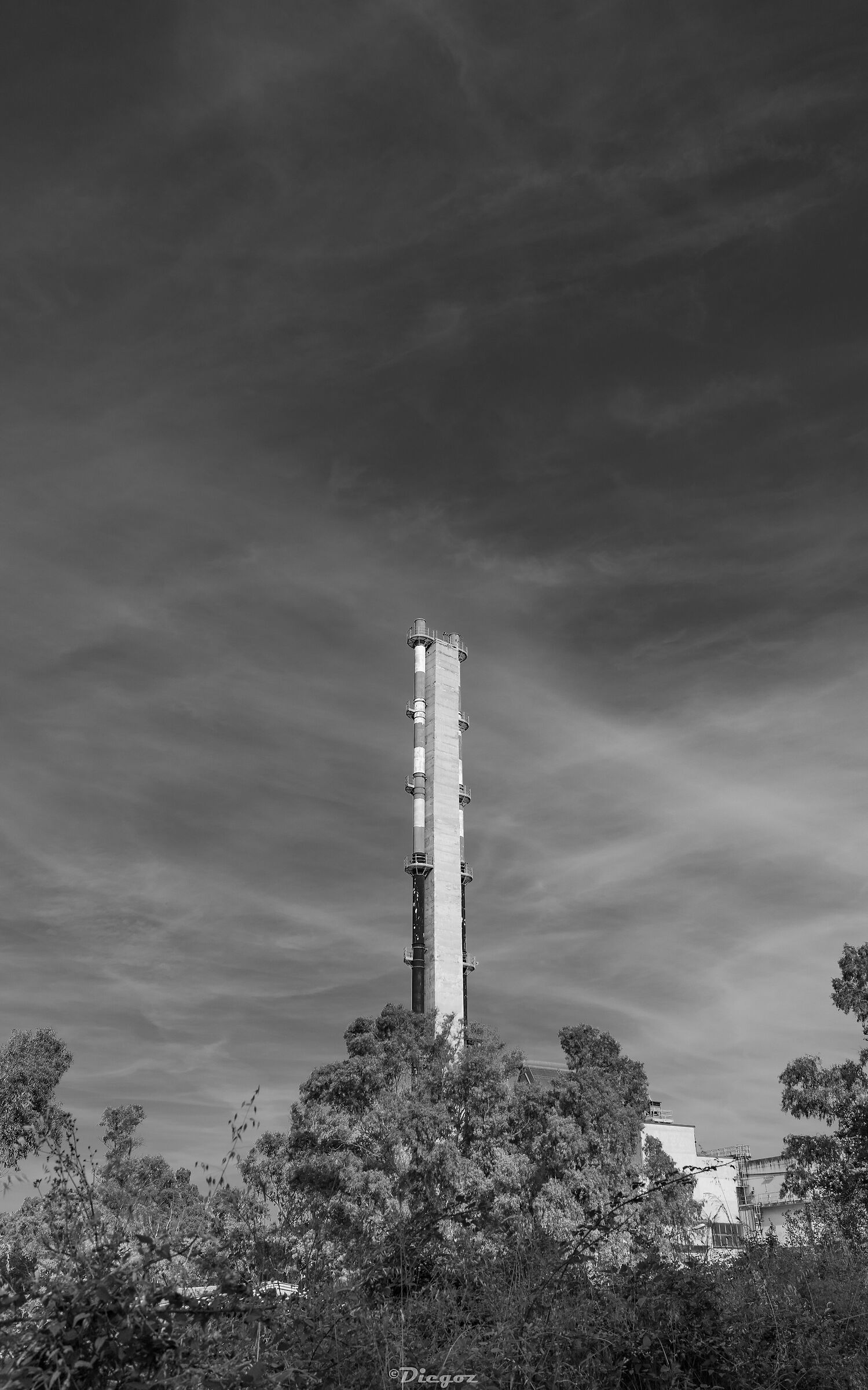 Untitled Photo