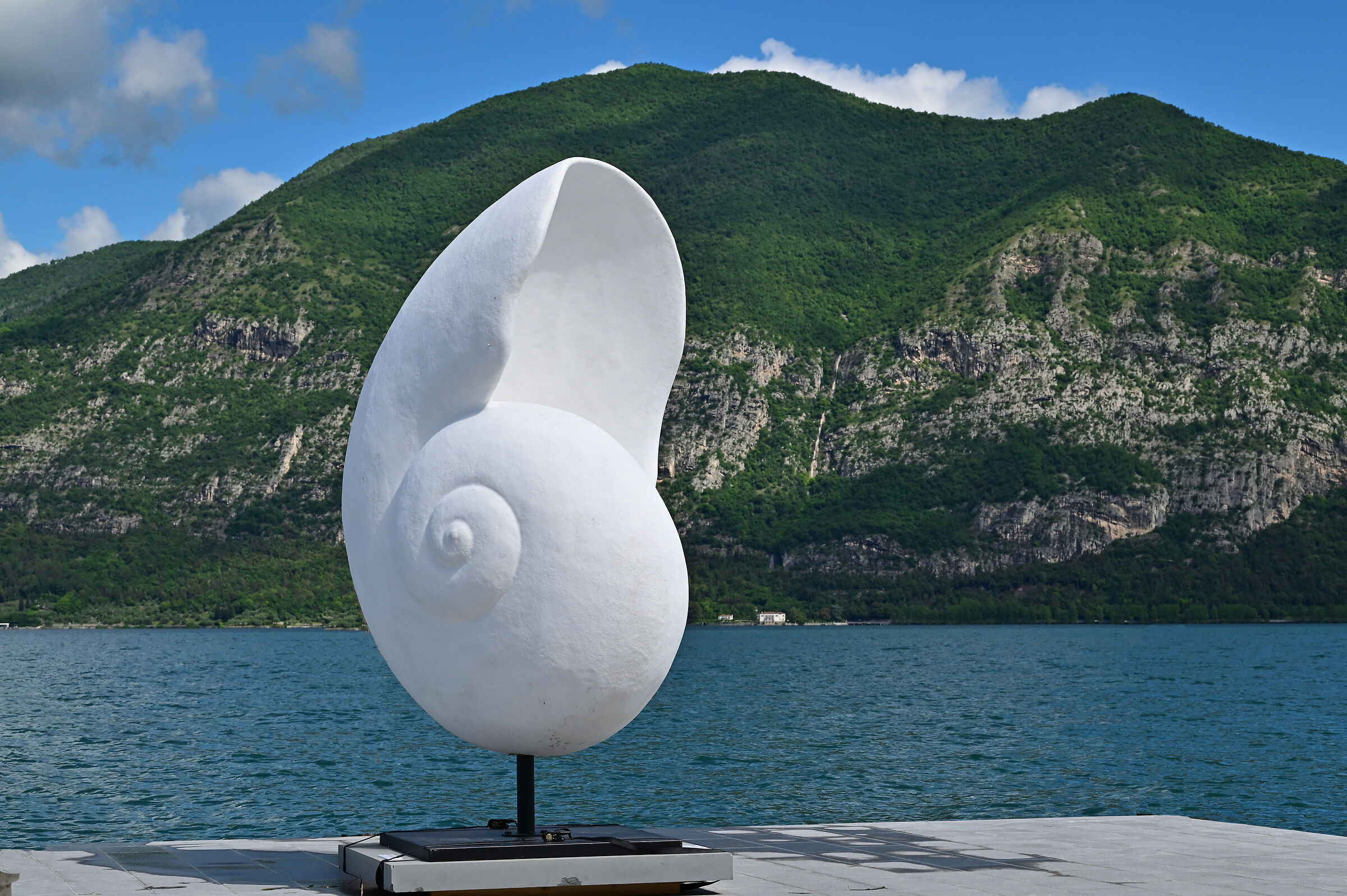 "Nautilus"
