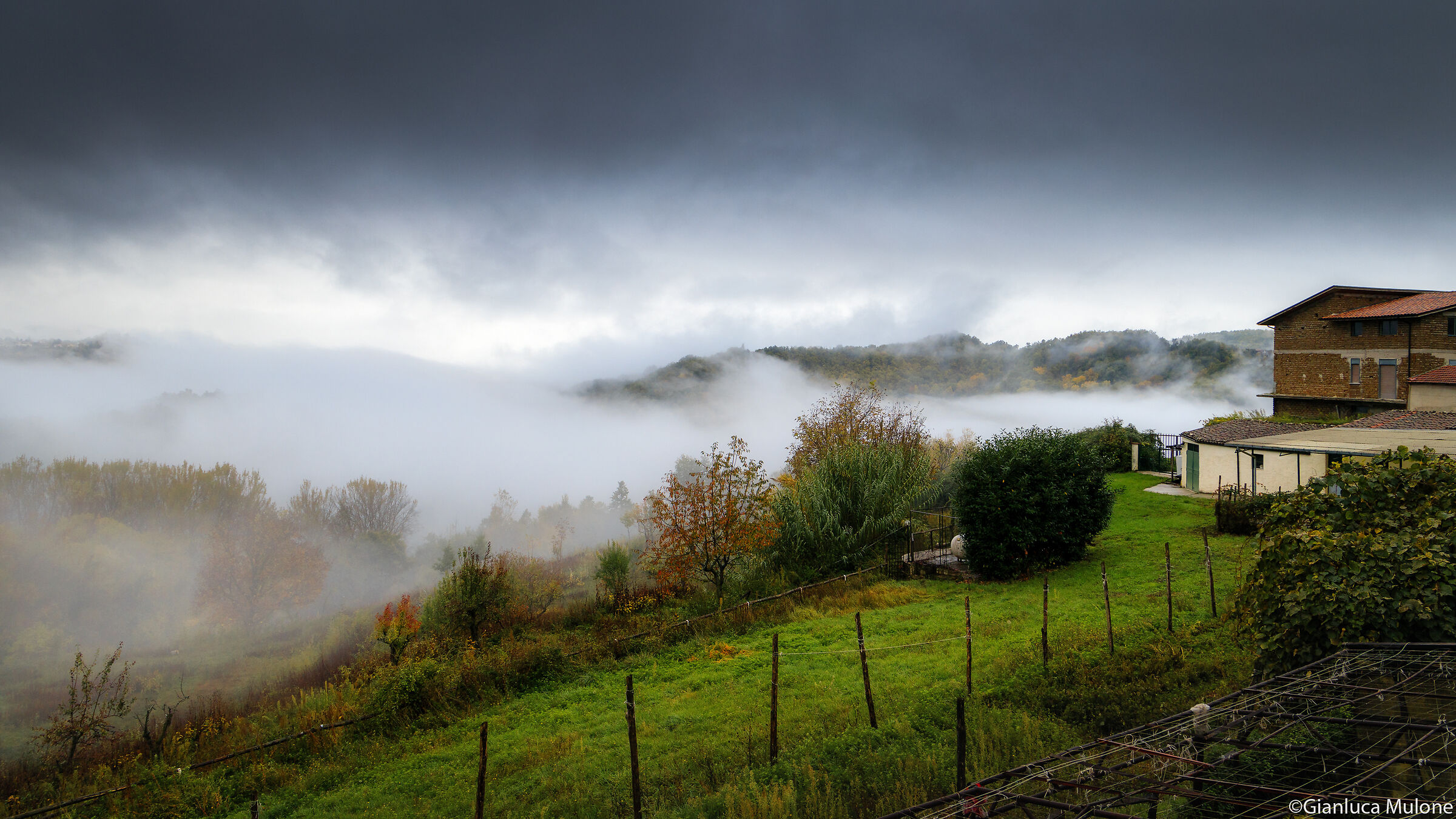 Nebbia mattutina