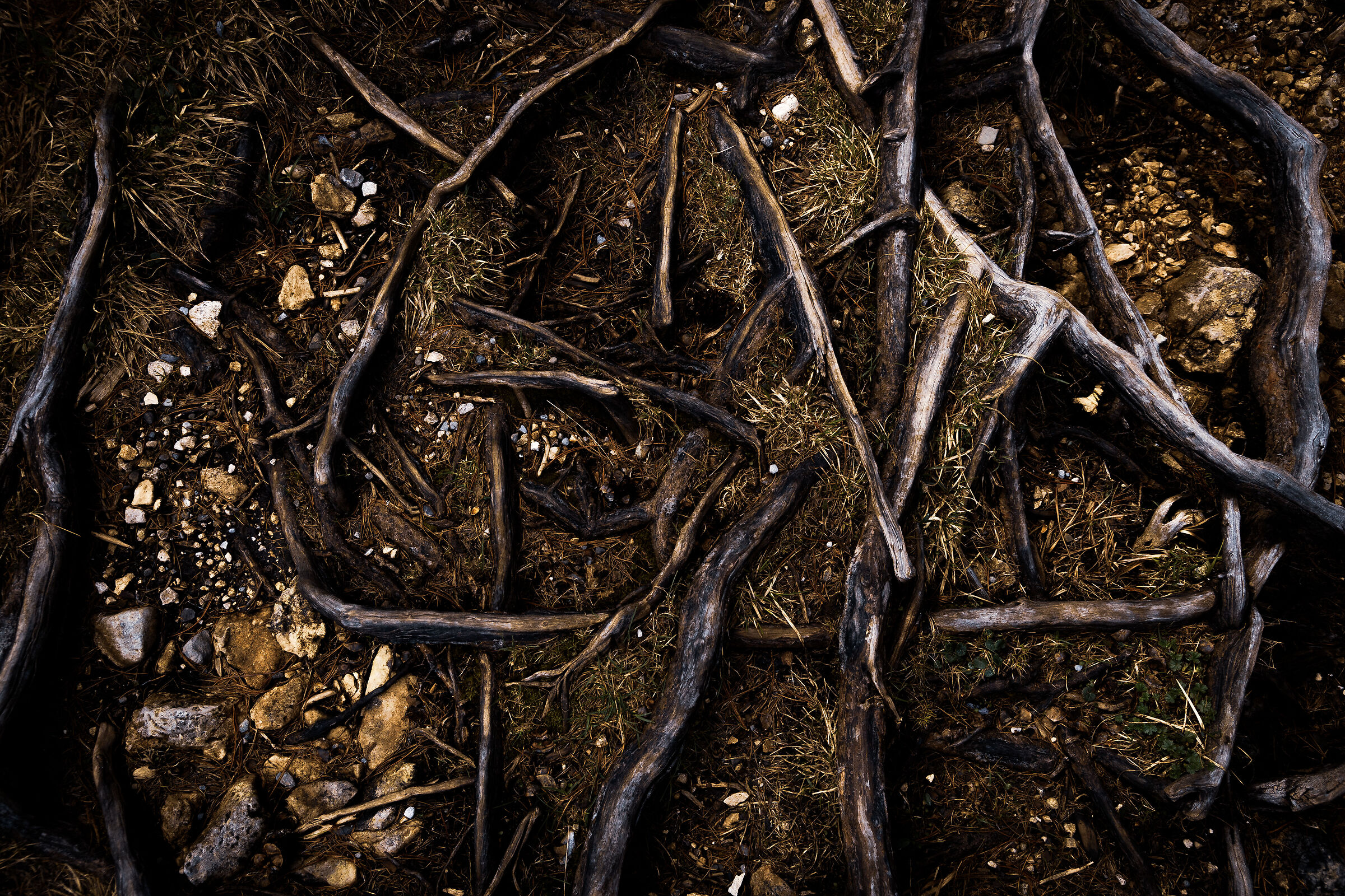 "Radici profonde nel grembo di un monte" A.P