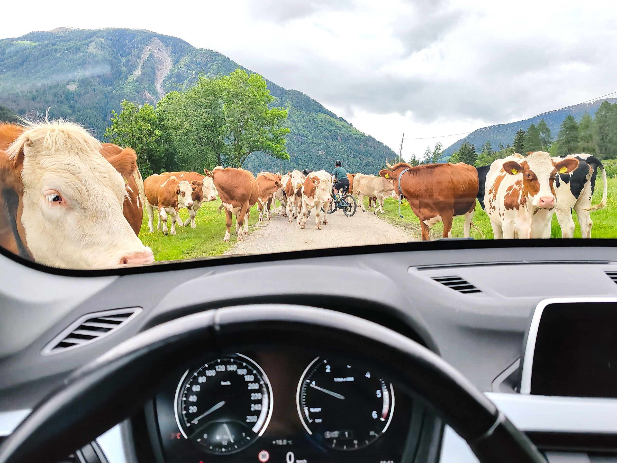 When they are there, they are the masters of the road