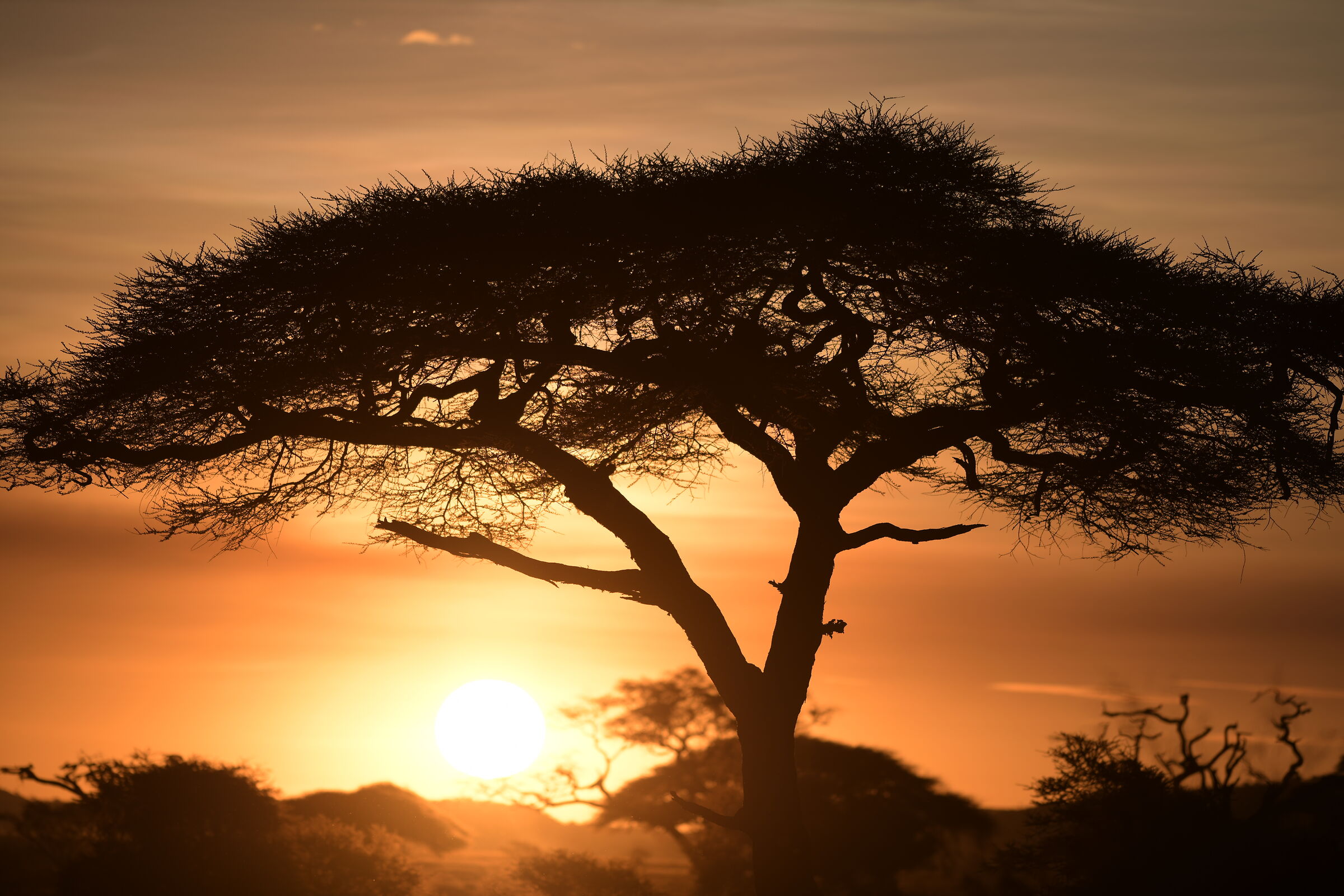 Tramonto al Serengeti