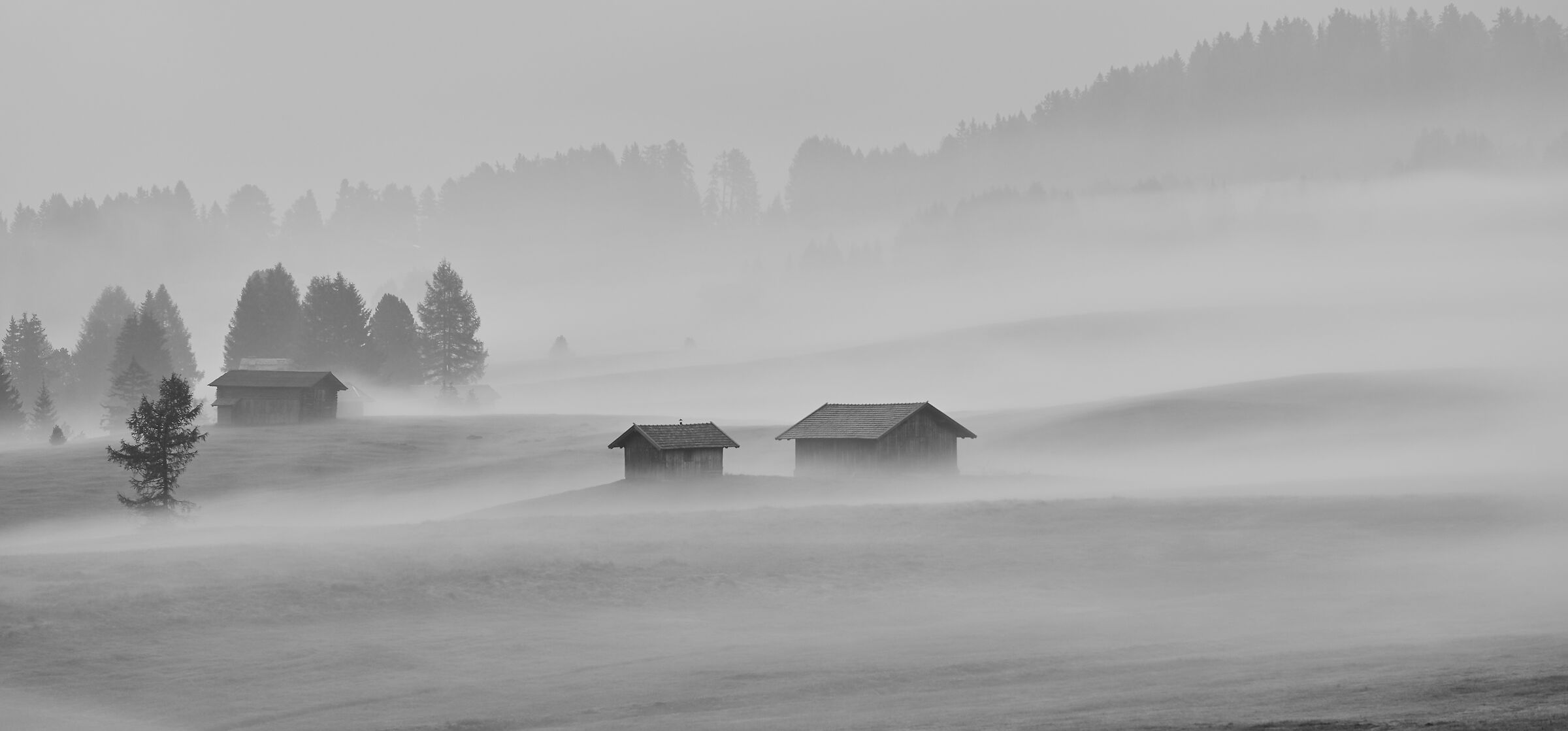 Nella Nebbia
