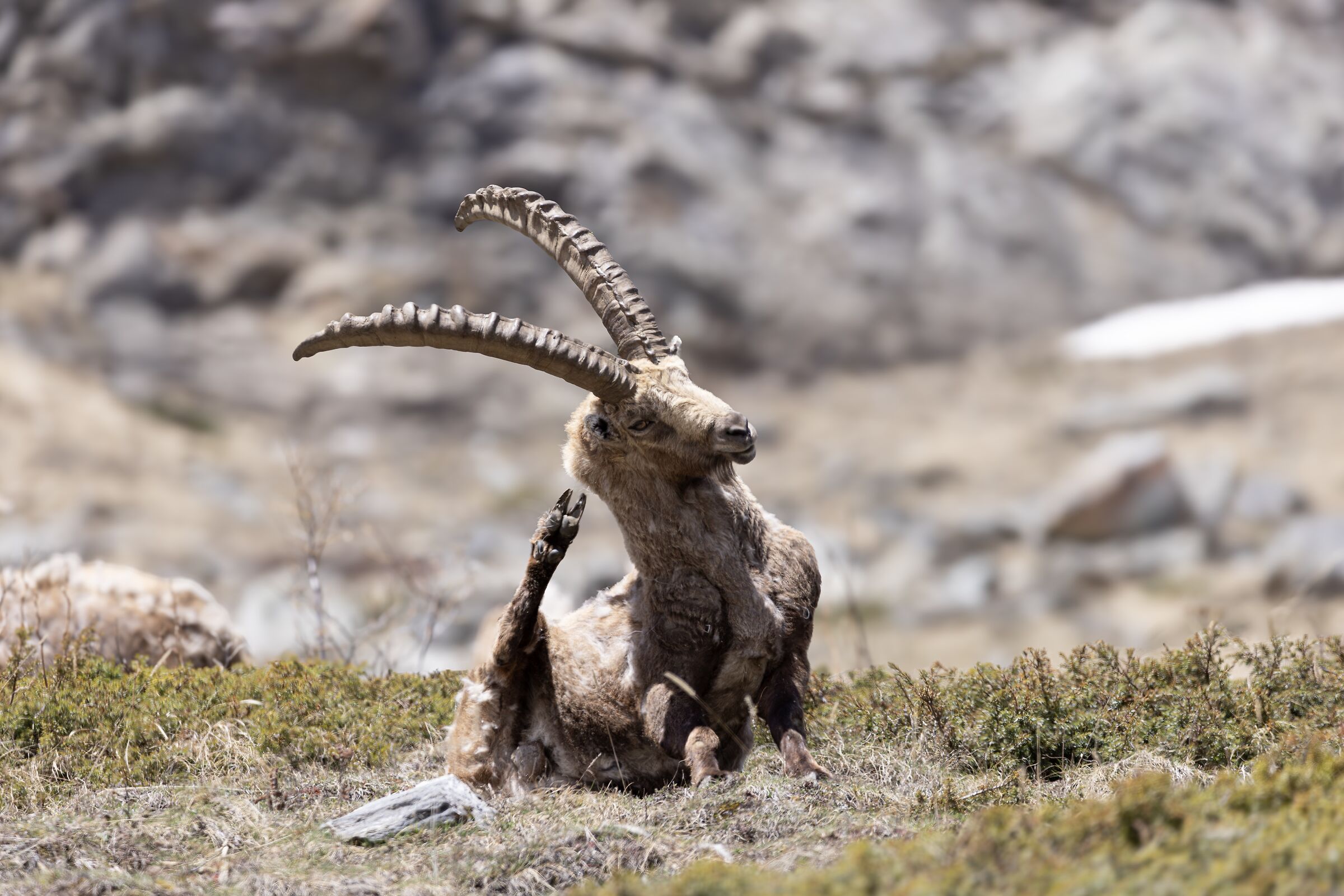 In armonia con la natura